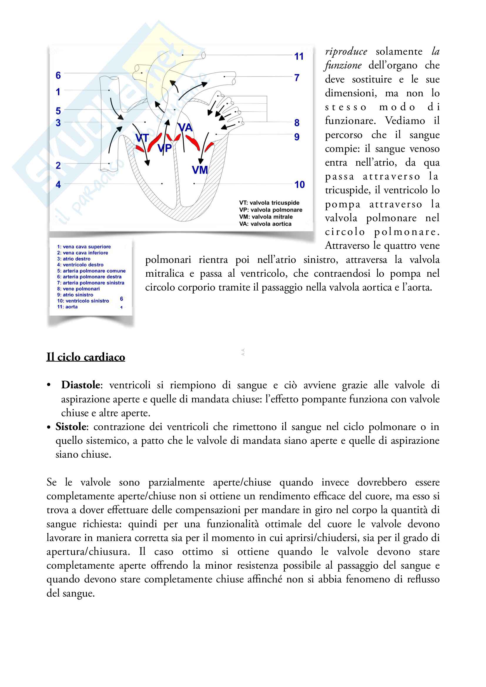Appunti di Endoprotesi Pag. 96