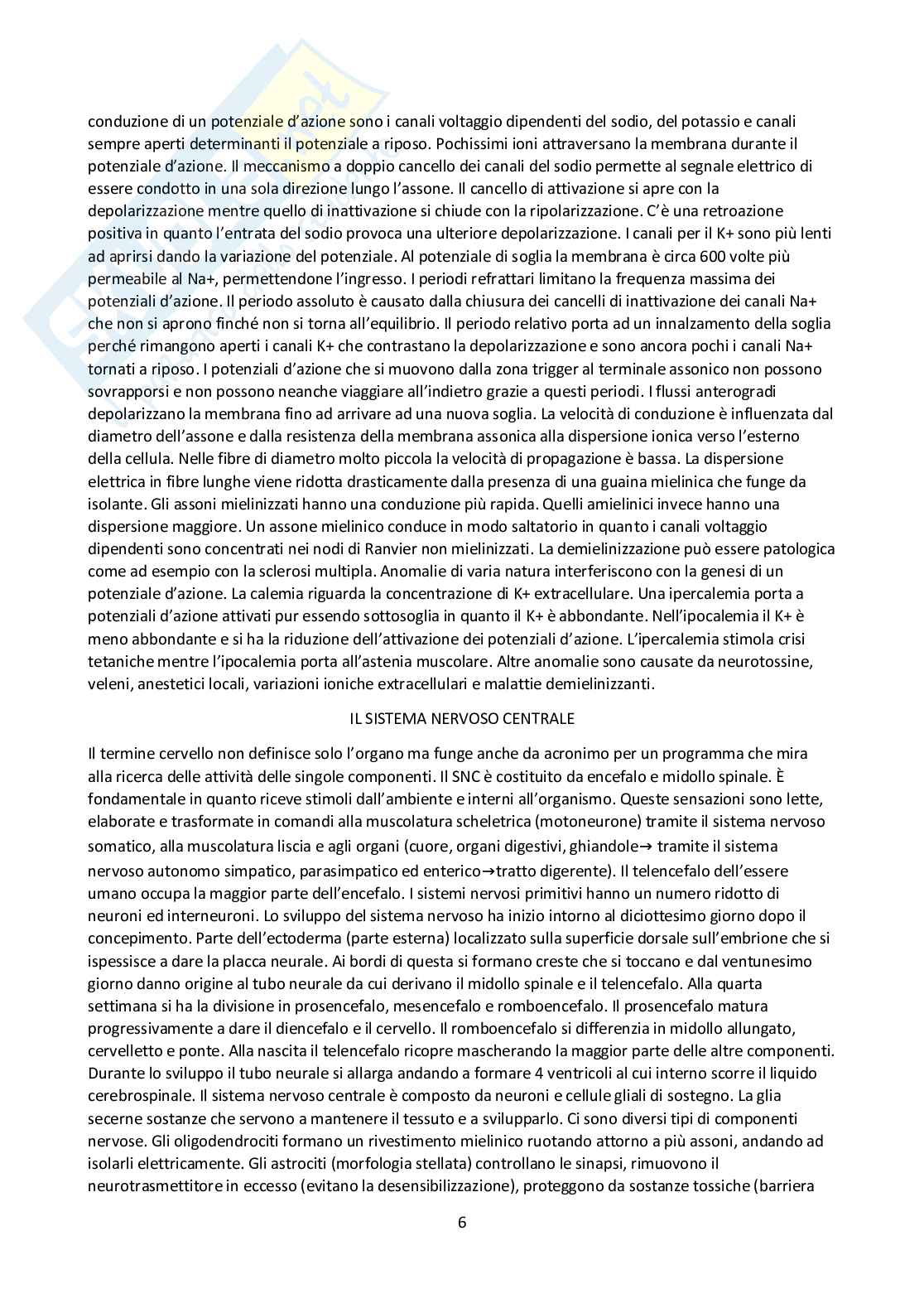Appunti di fisiologia Pag. 6