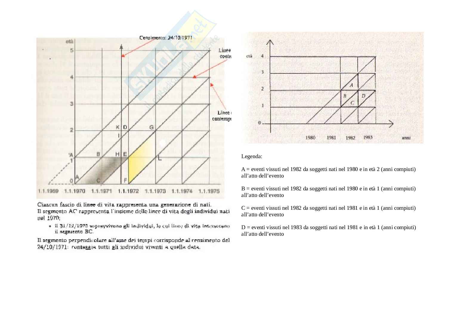 Diagramma di Lexis Pag. 6