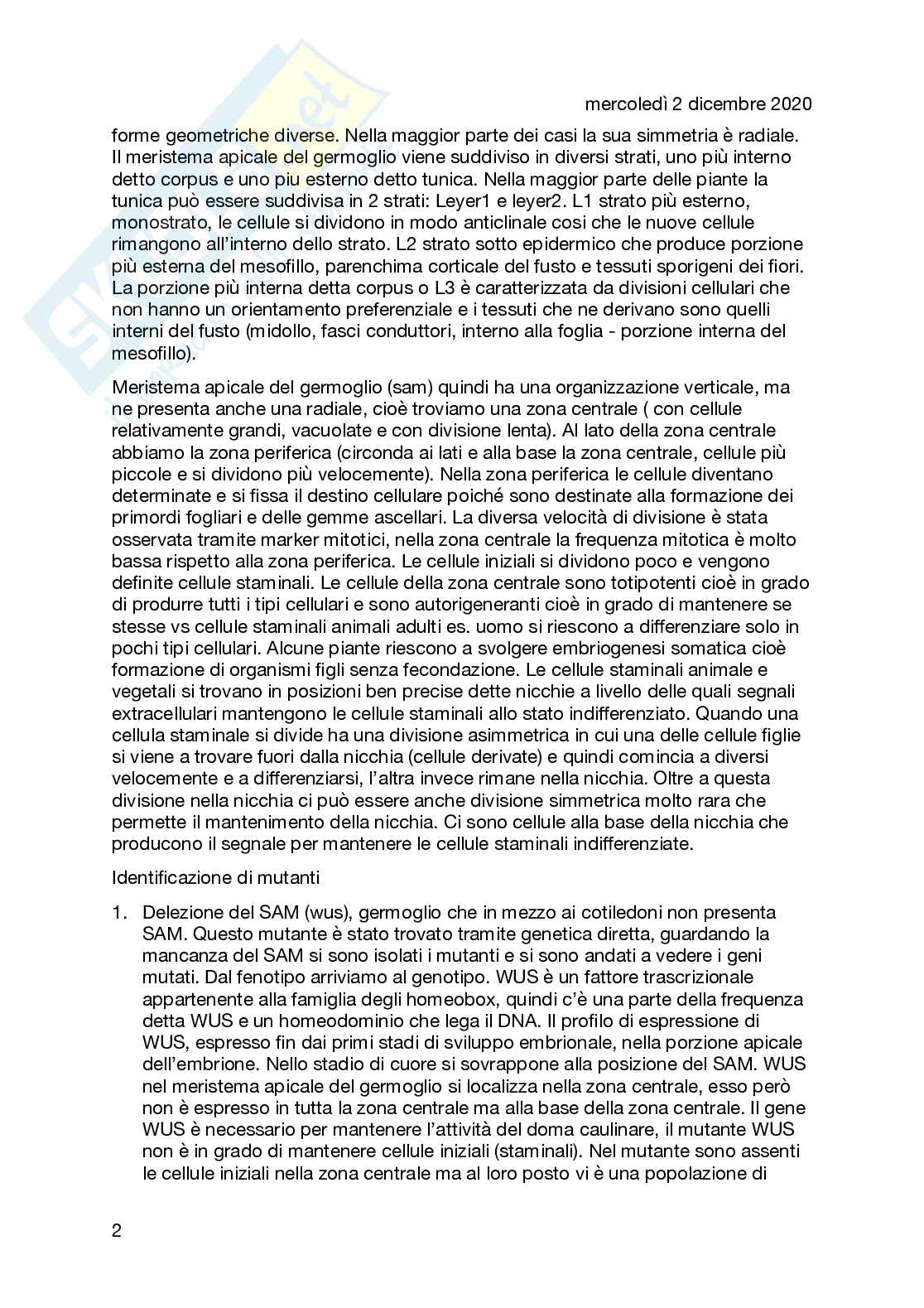 Biologia dello sviluppo vegetale Pag. 21