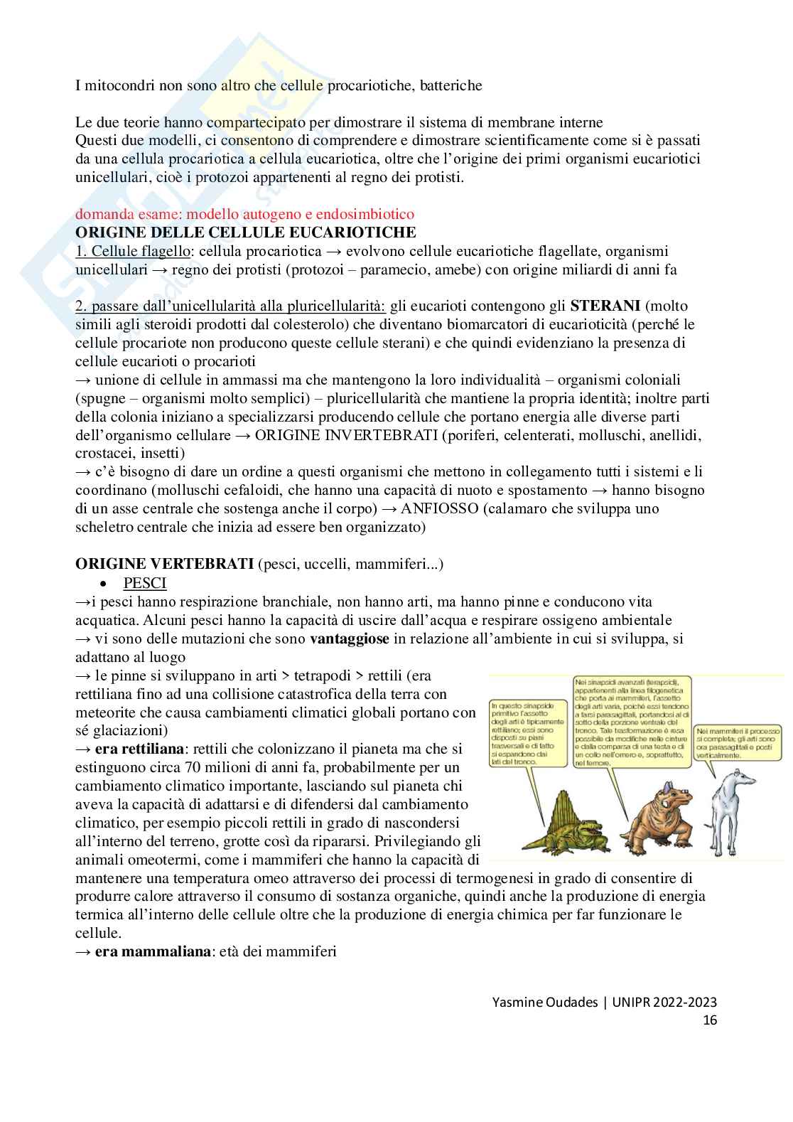 Riassunto esame Biologia animale, Prof. Nonnis Marzano Francesco, libro consigliato Biologia, Solomon Pag. 16