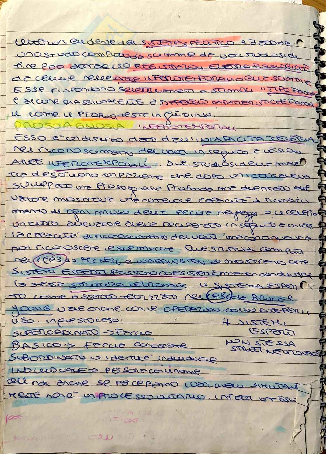 Neuropsicologia: deficit attentivi, ADHD e disturbi dell'apprendimento Pag. 6