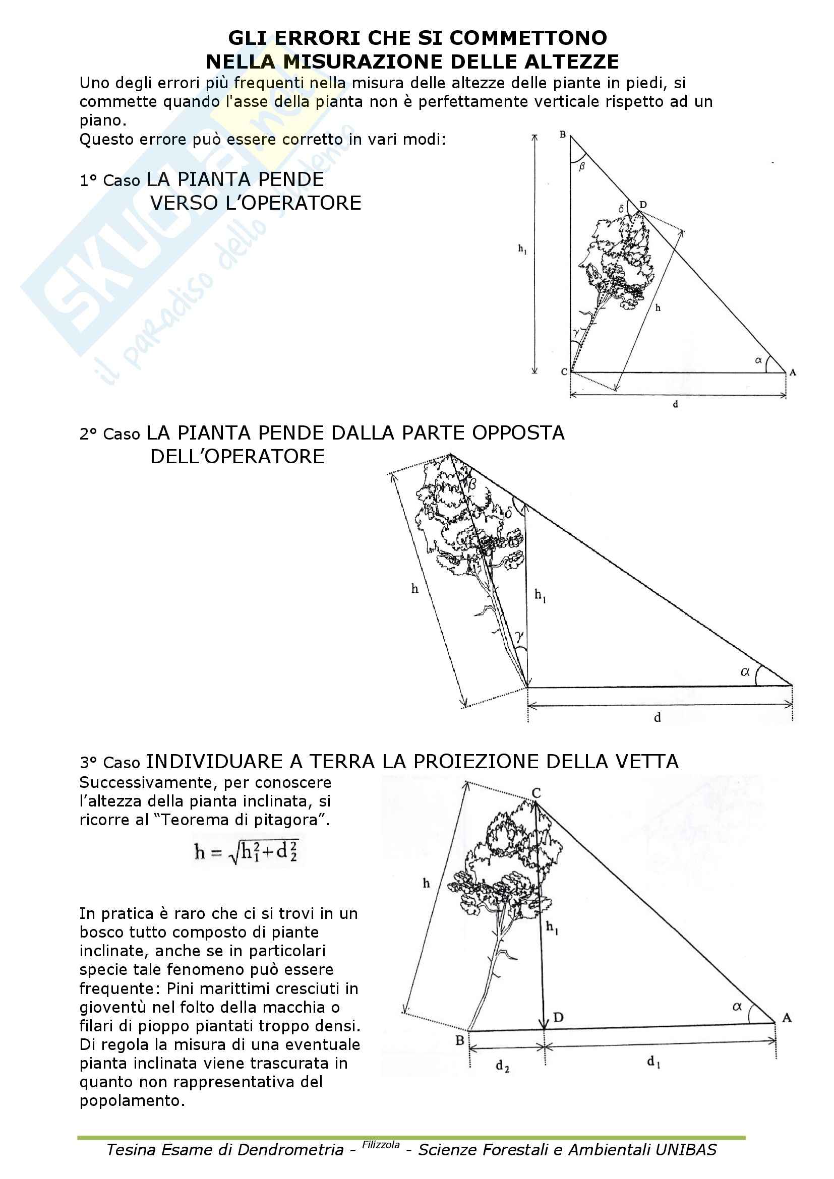 Dendrometria - Appunti Pag. 21