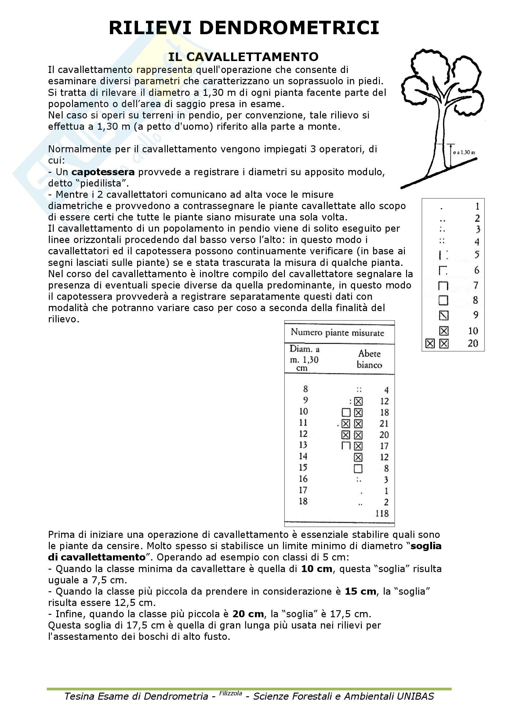 Dendrometria - Appunti Pag. 41