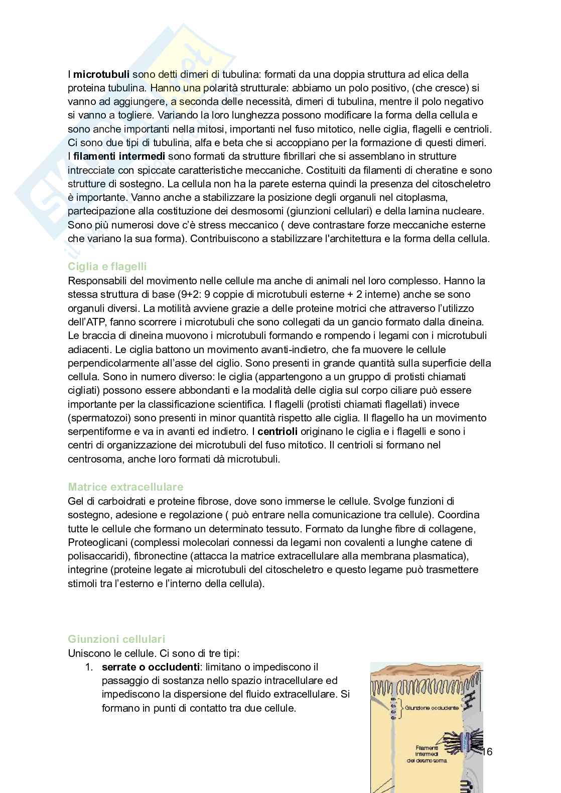 Zoologia  Pag. 16