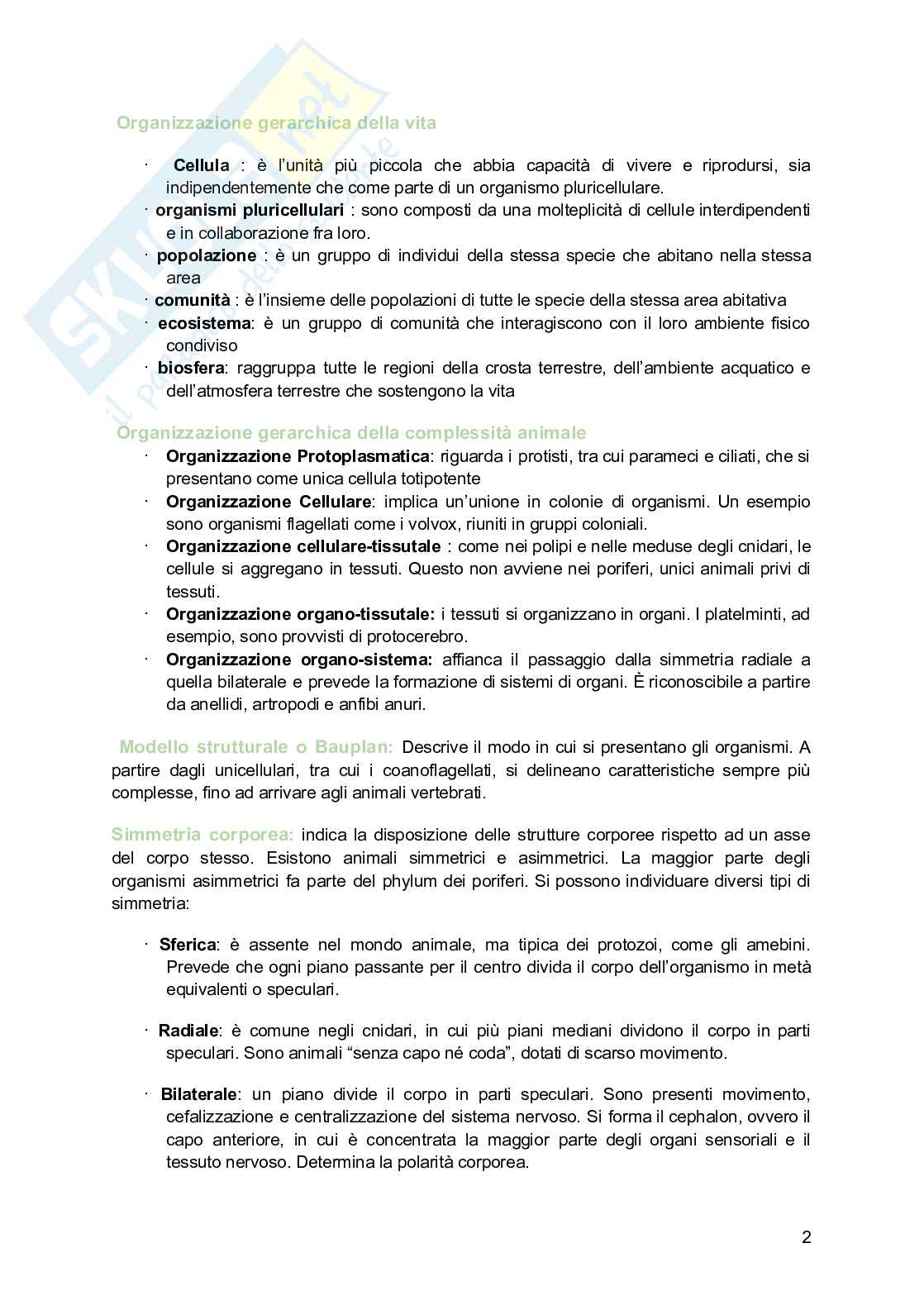 Zoologia  Pag. 2