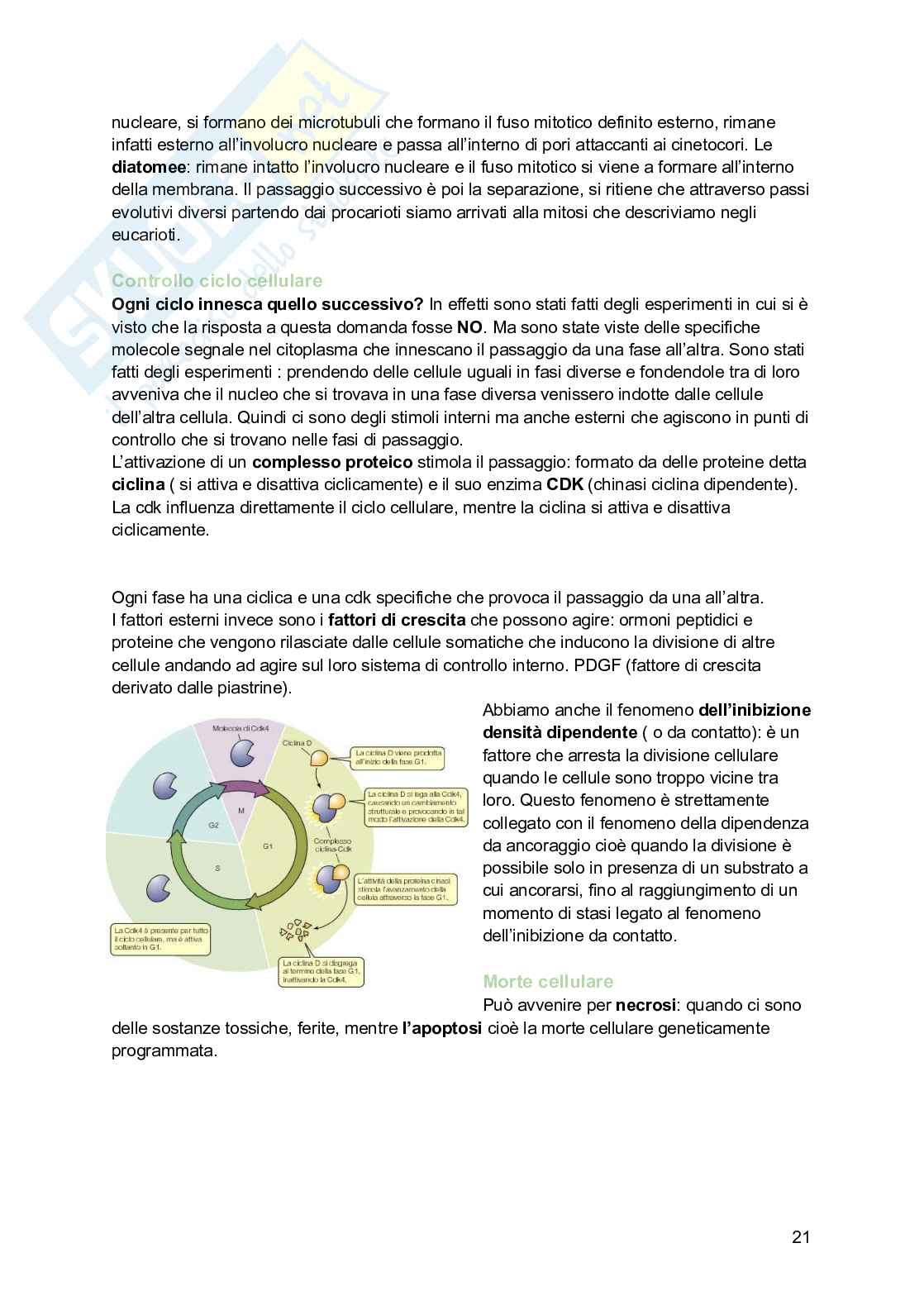 Zoologia  Pag. 21