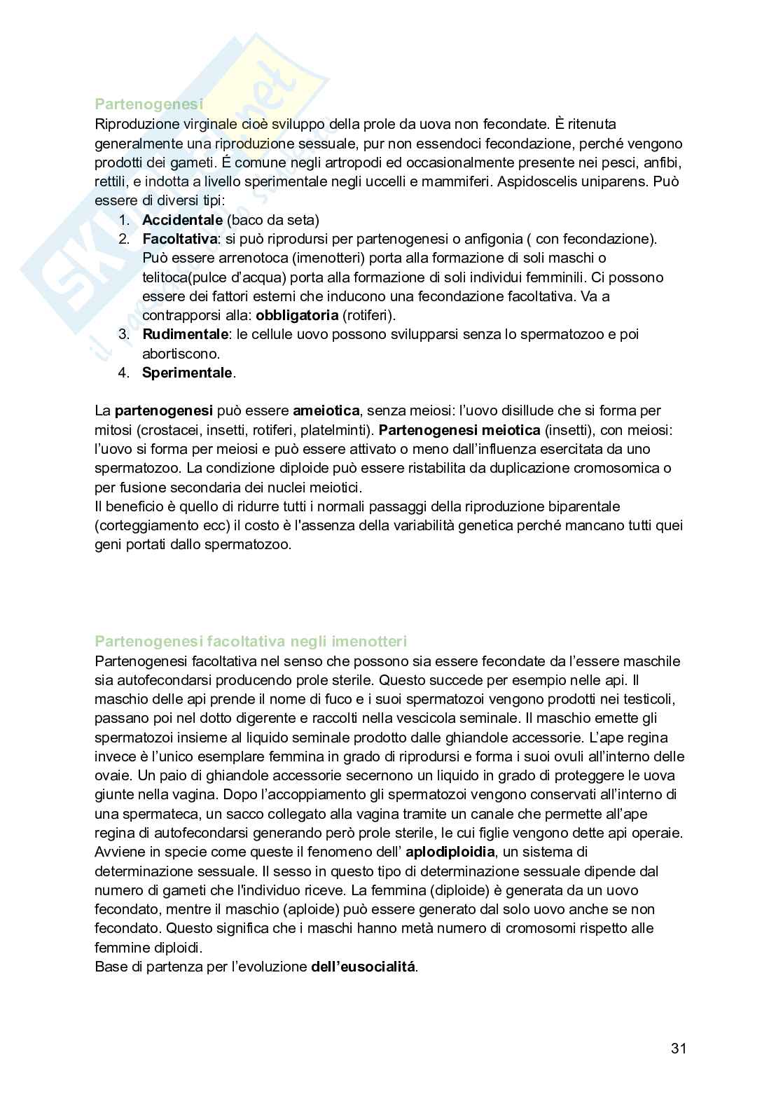 Zoologia  Pag. 31