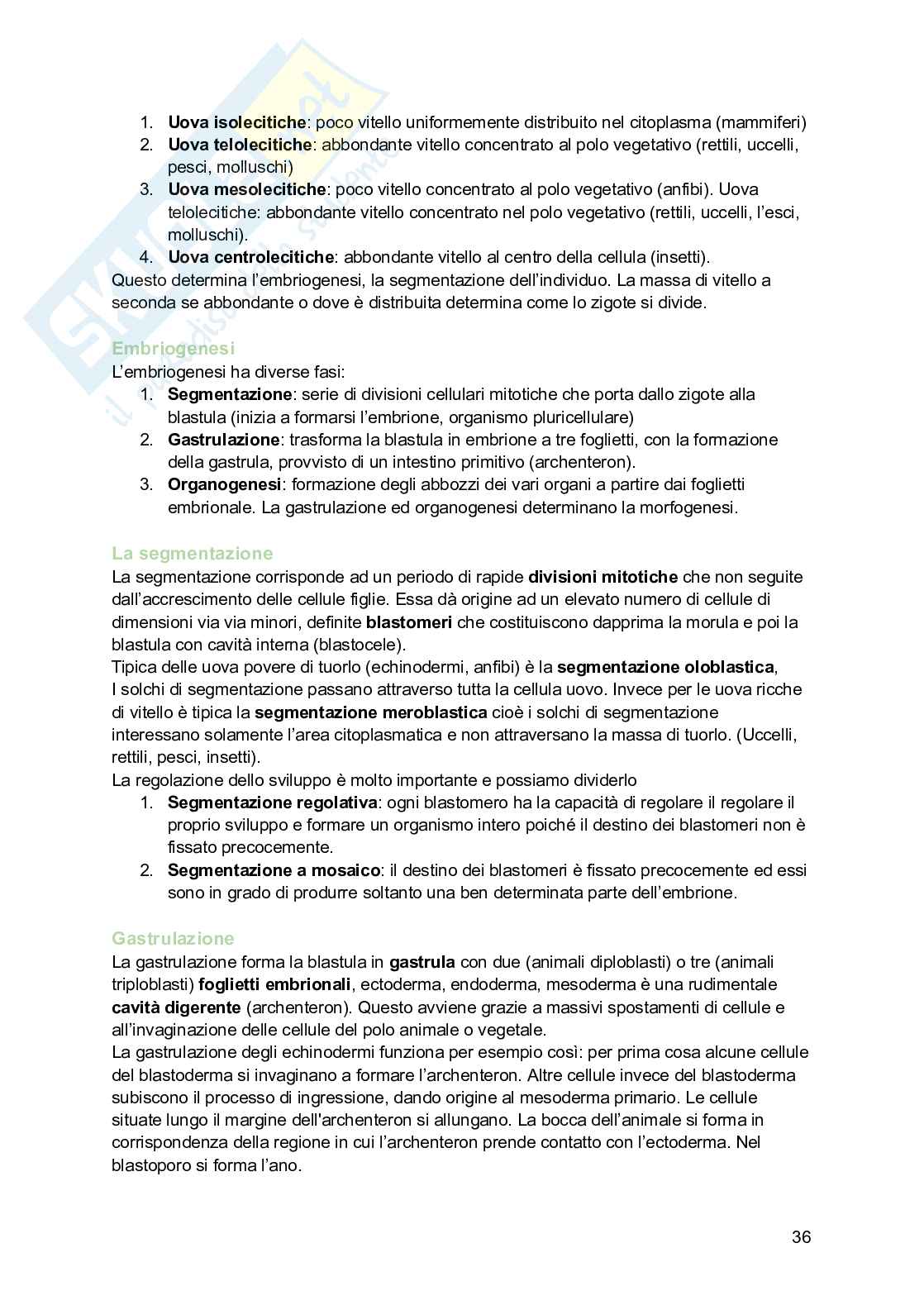 Zoologia  Pag. 36
