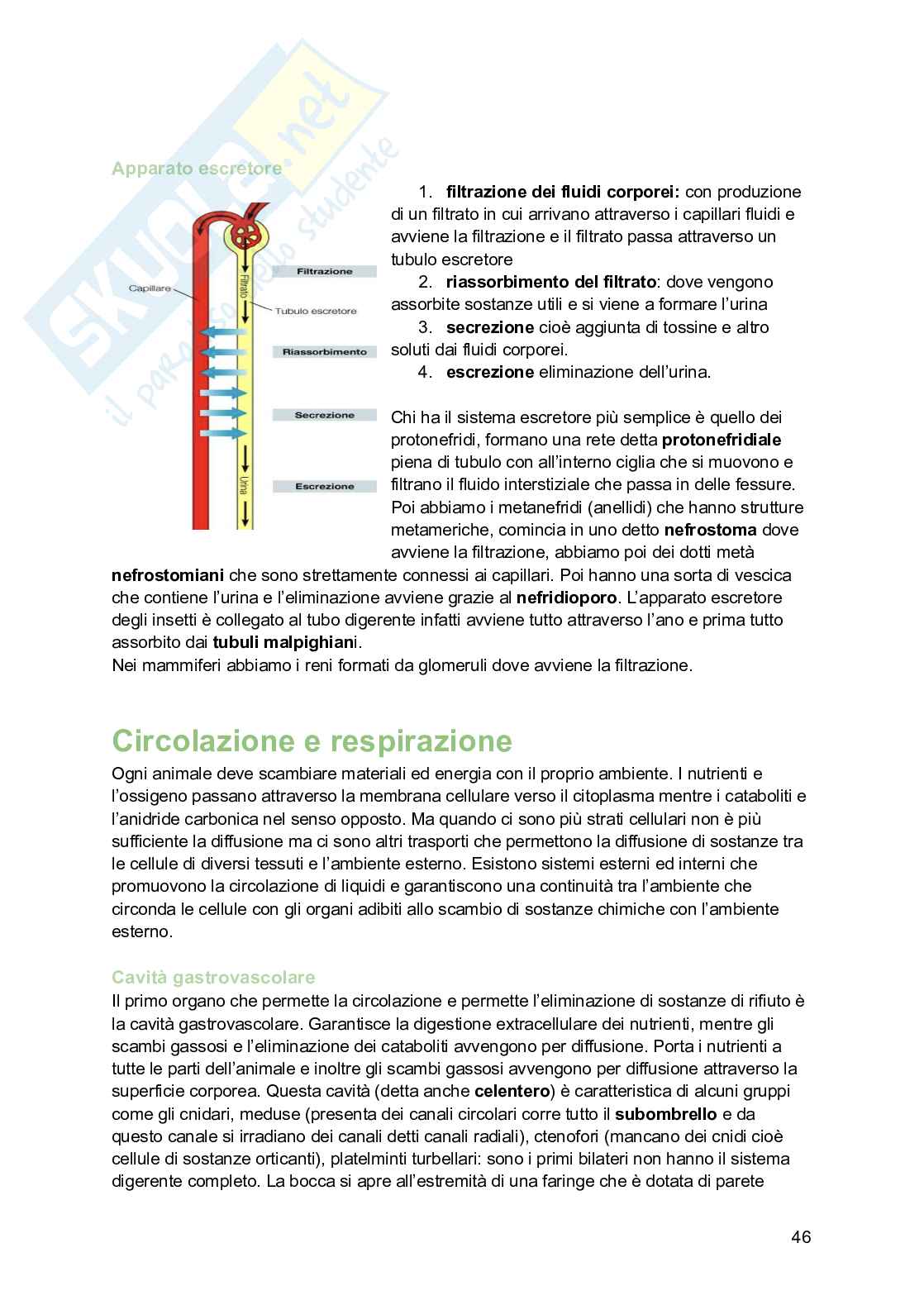 Zoologia  Pag. 46