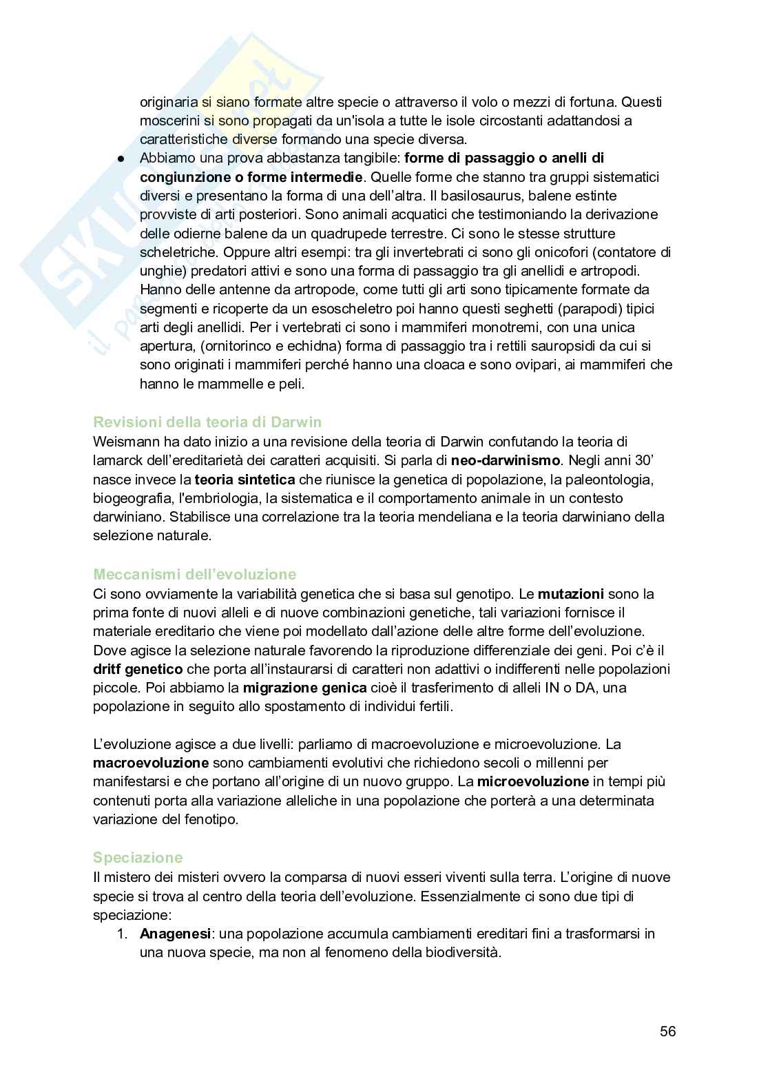 Zoologia  Pag. 56