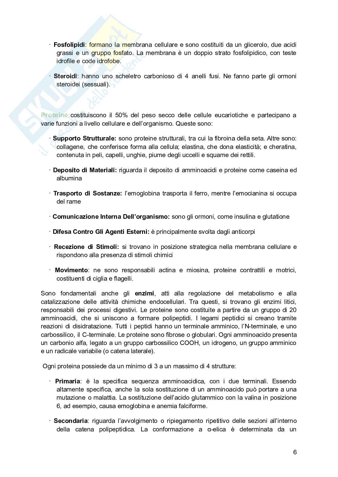 Zoologia  Pag. 6