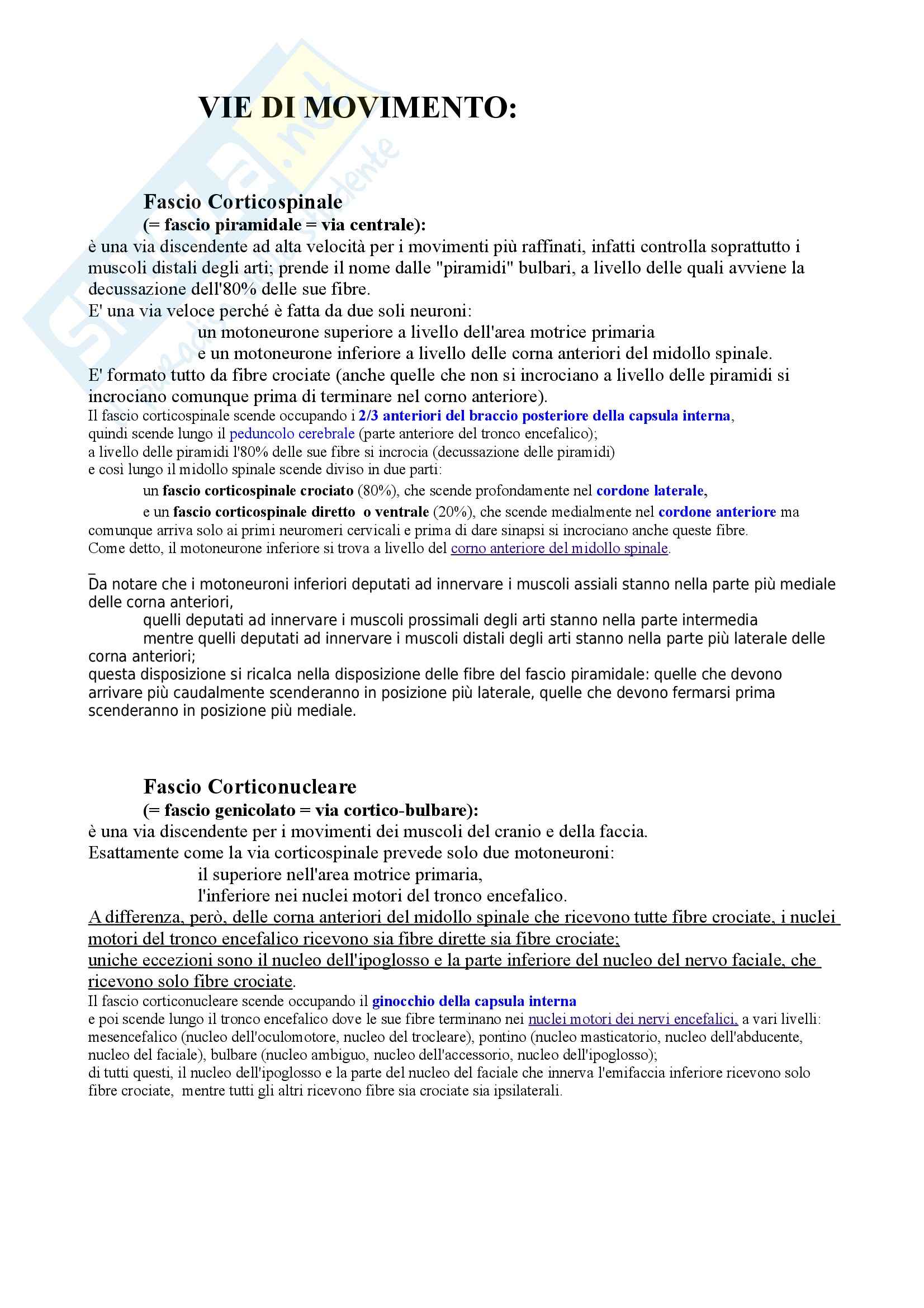 Vie di movimento Pag. 1