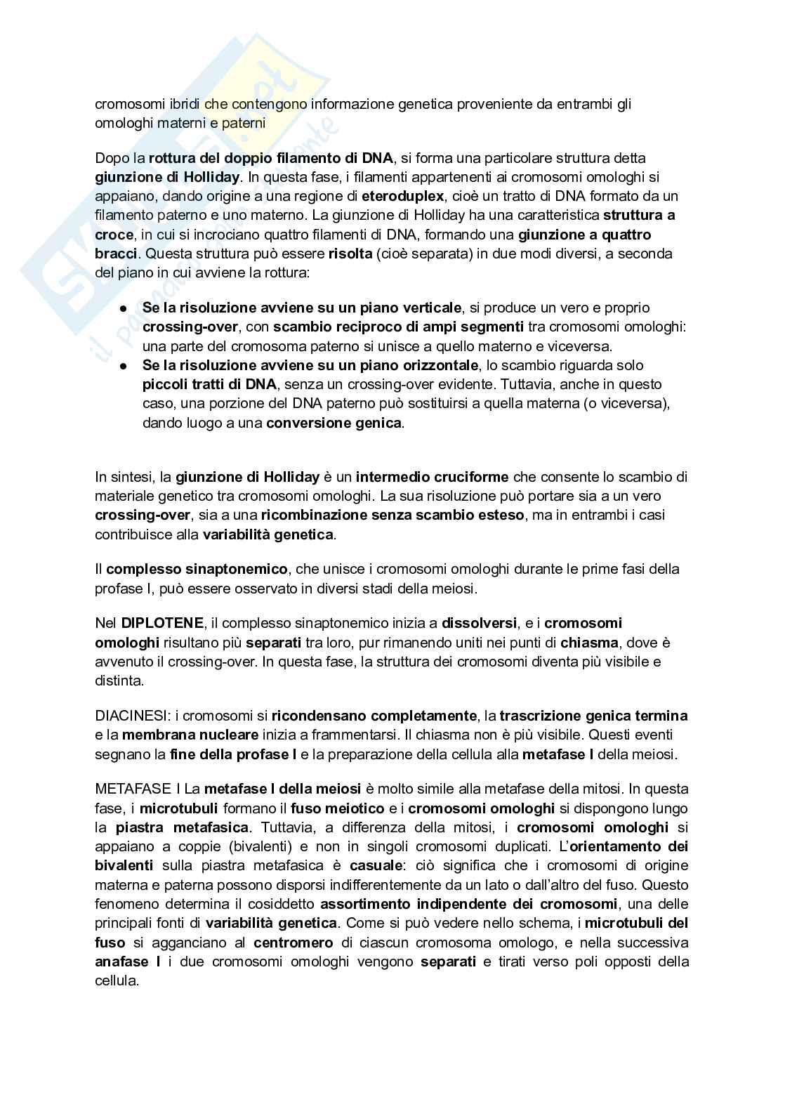 Meiosi Pag. 6