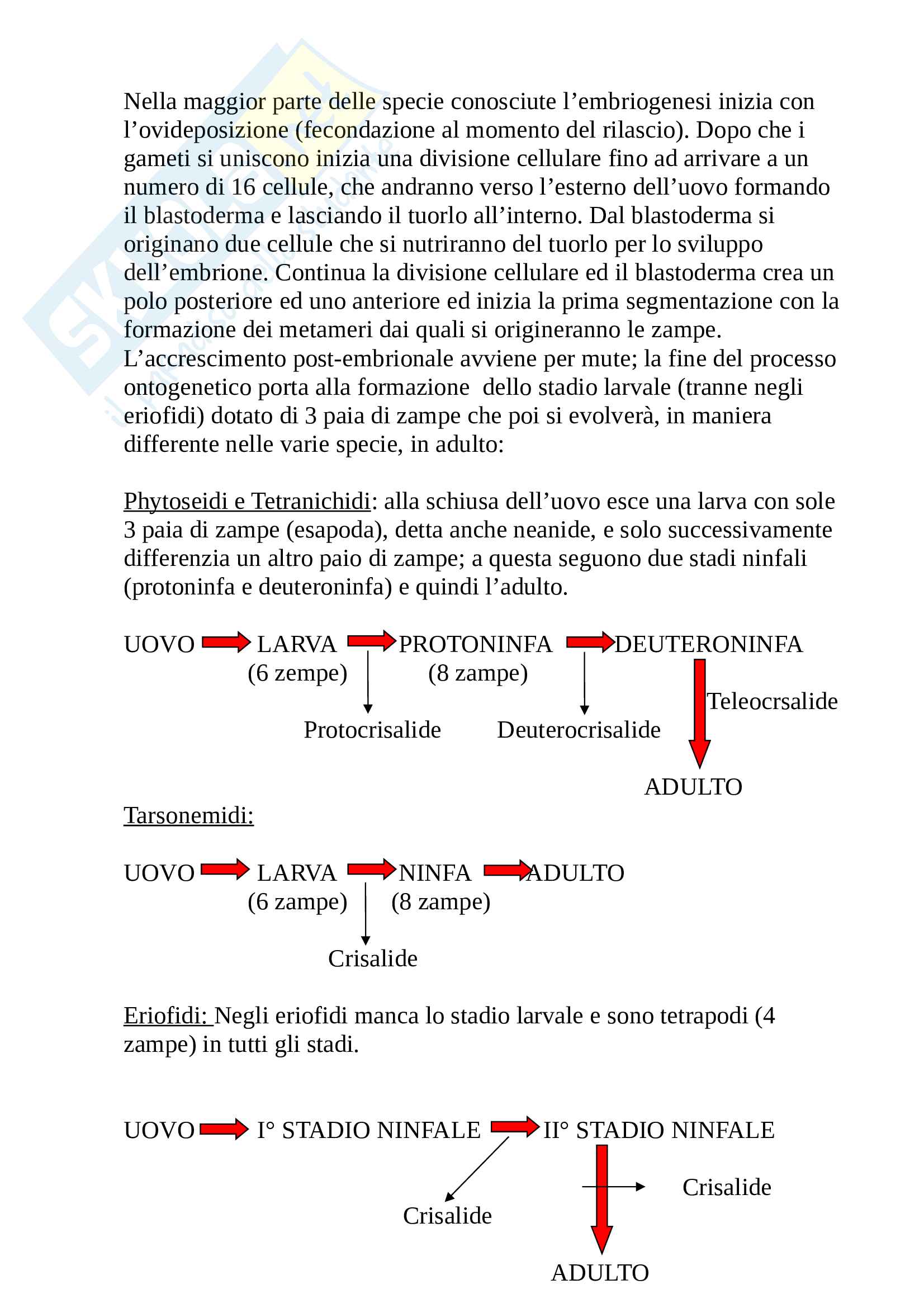 Riassunto della materia d'esame Acarologia e difesa integrata Pag. 16