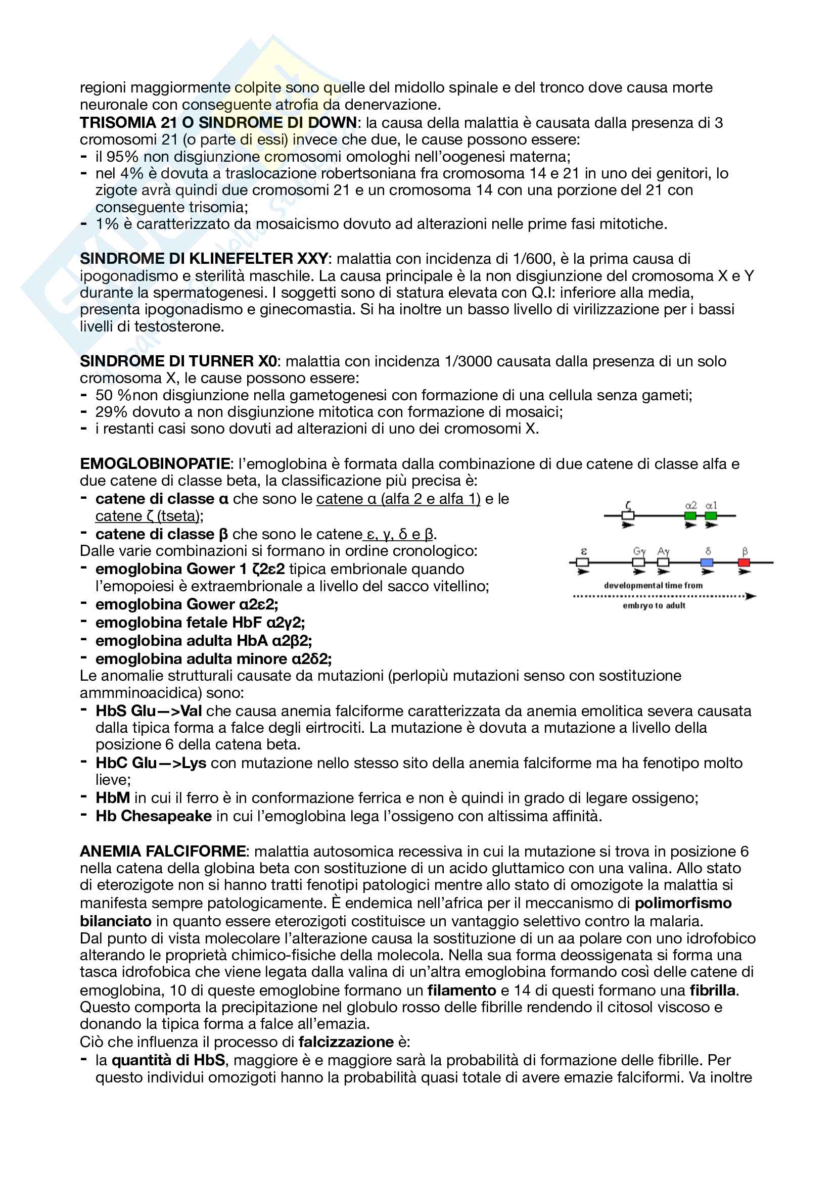 Riassunto completo patologia Generale Bernardi Pag. 11