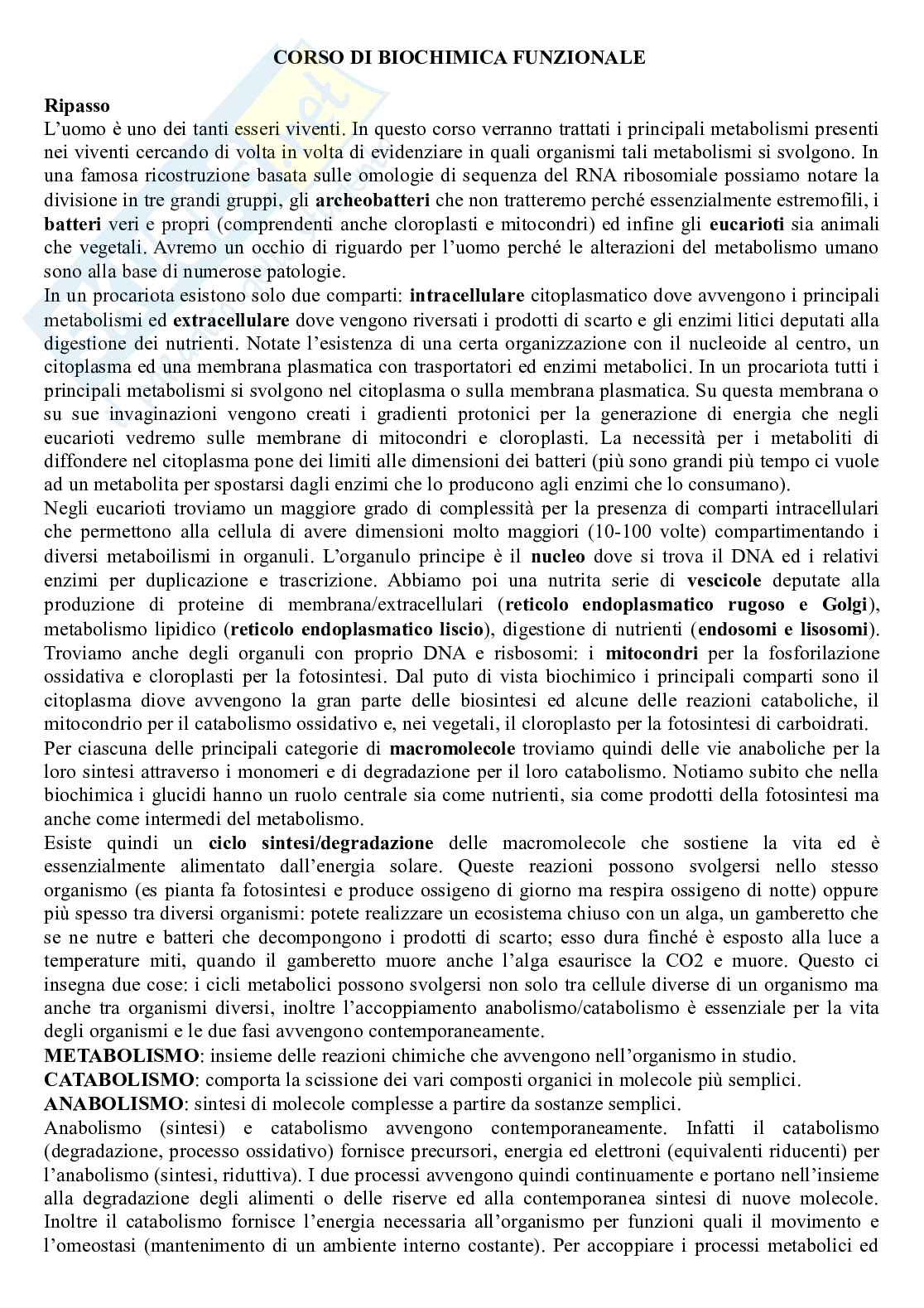 Biochimica funzionale Pag. 1