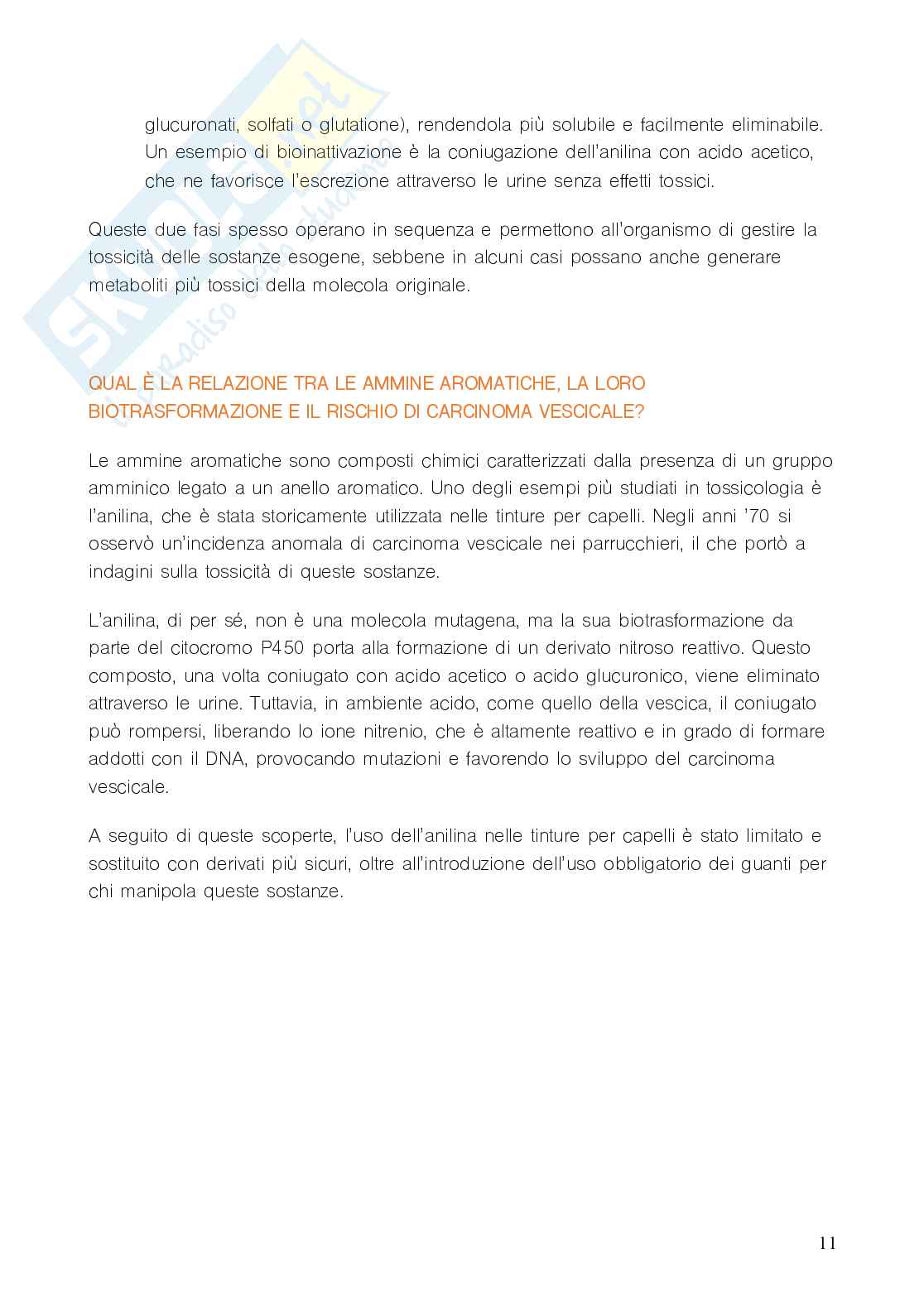 Domande e risposte Tossicologia Pag. 11