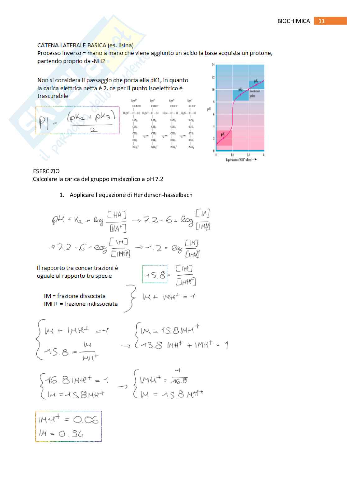 Biochimica per scienze biologiche Pag. 11