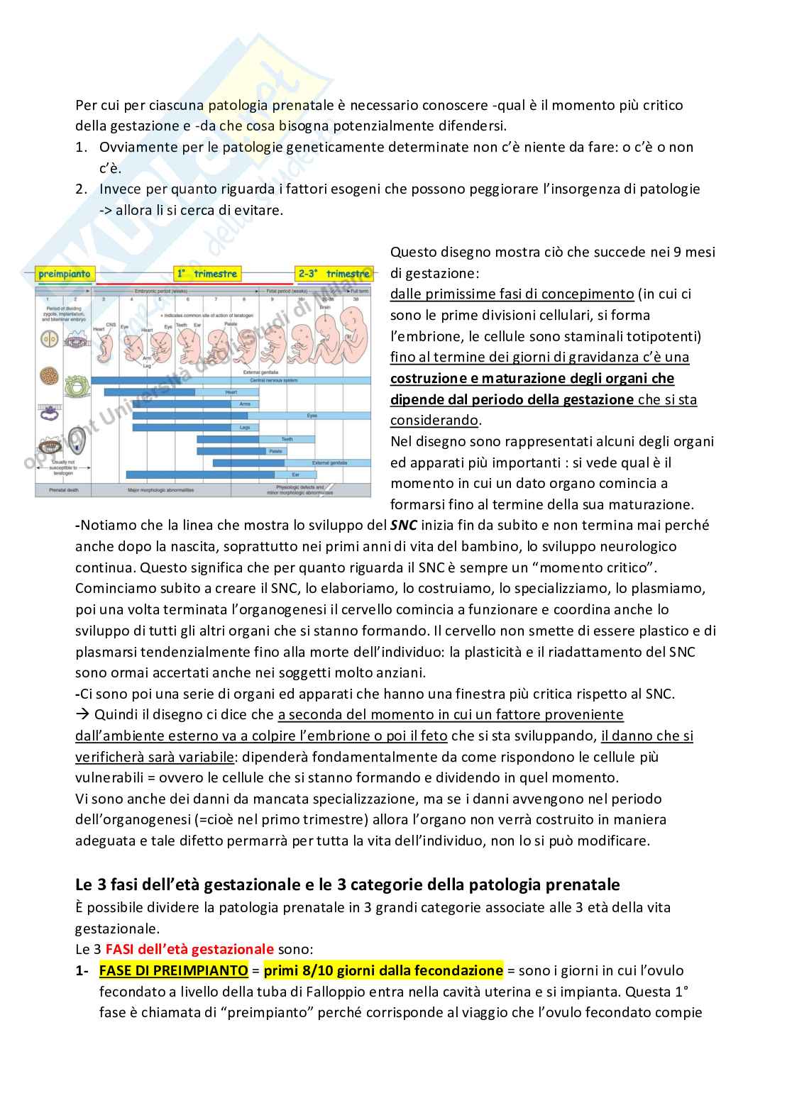 Patologie genetiche e patologia prenatale  Pag. 16