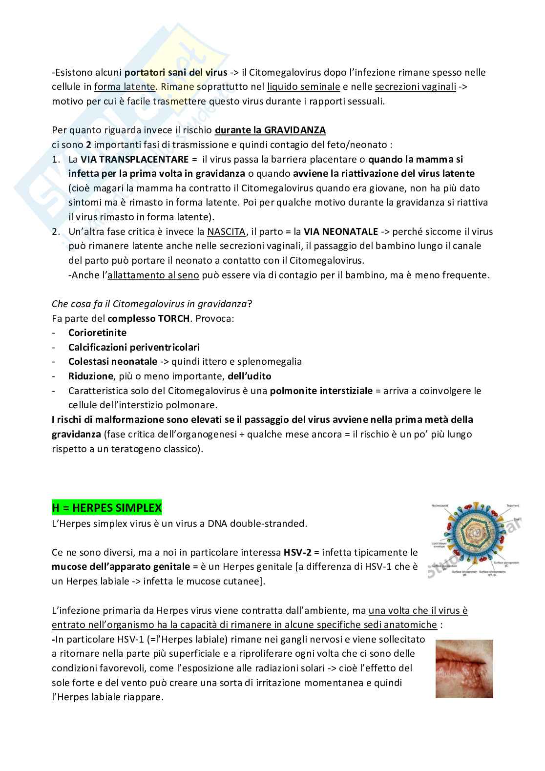 Patologie genetiche e patologia prenatale  Pag. 31