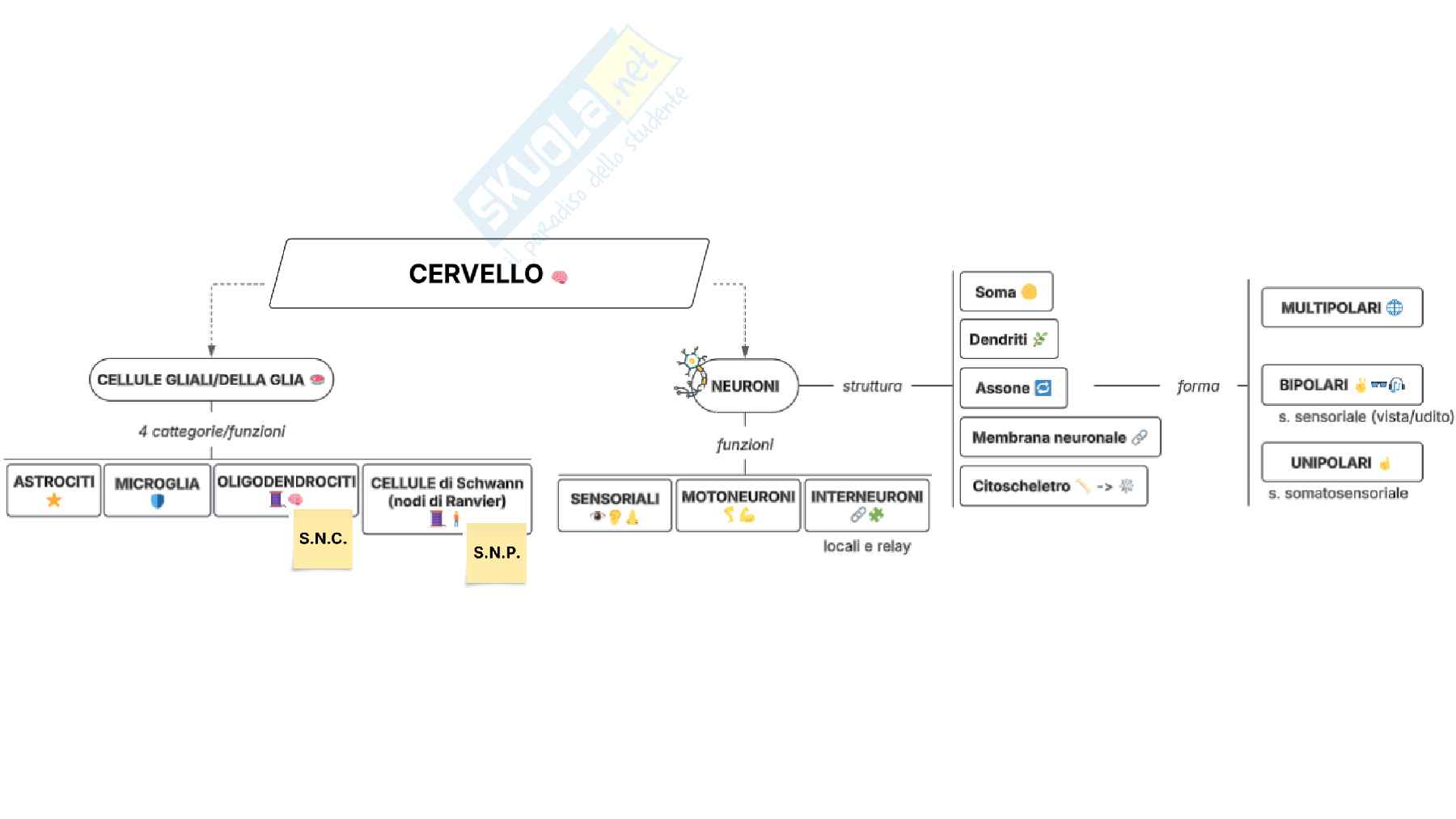 Schemi del corso di Psicofisiologia  Pag. 1