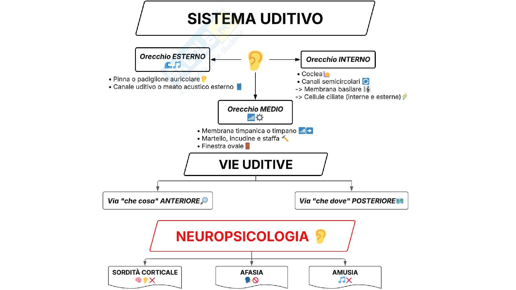 Schemi del corso di Psicofisiologia  Pag. 11