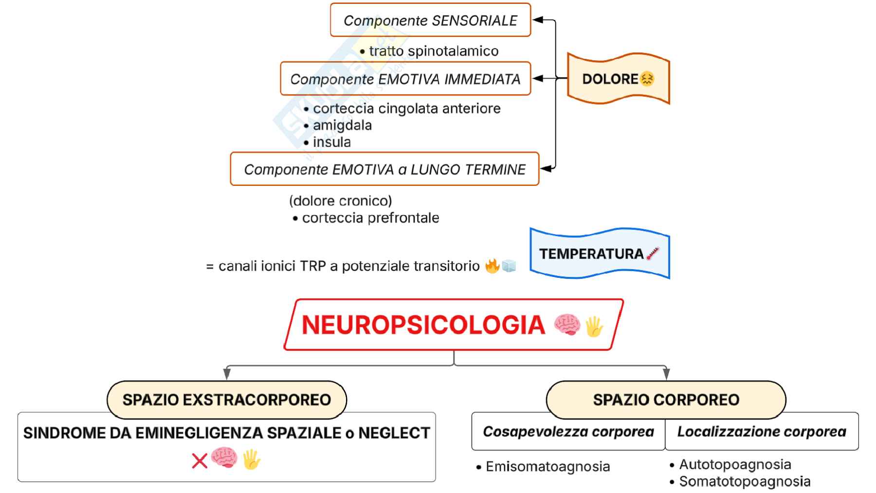 Schemi del corso di Psicofisiologia  Pag. 16