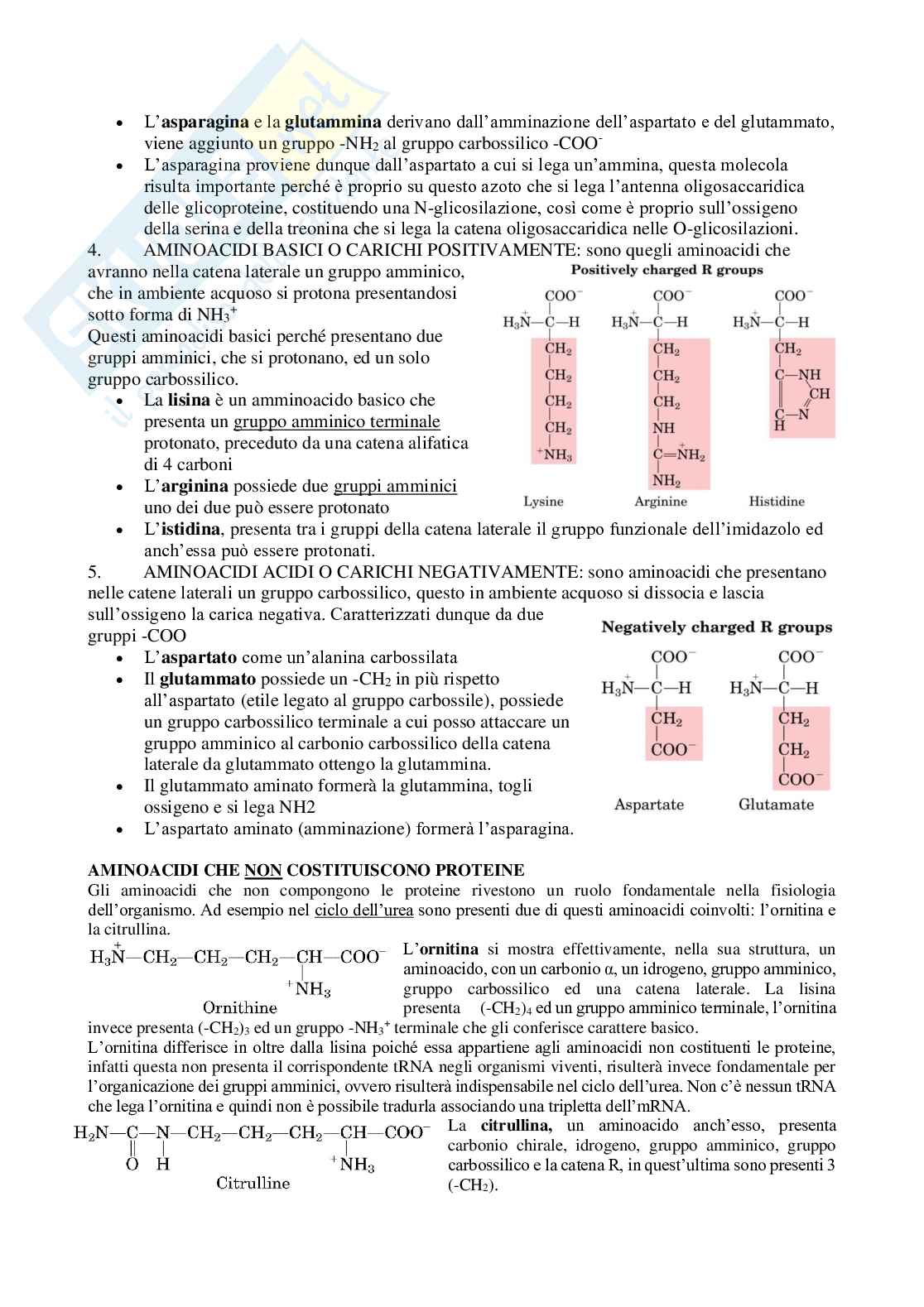 Appunti di Biochimica strutturale Pag. 41