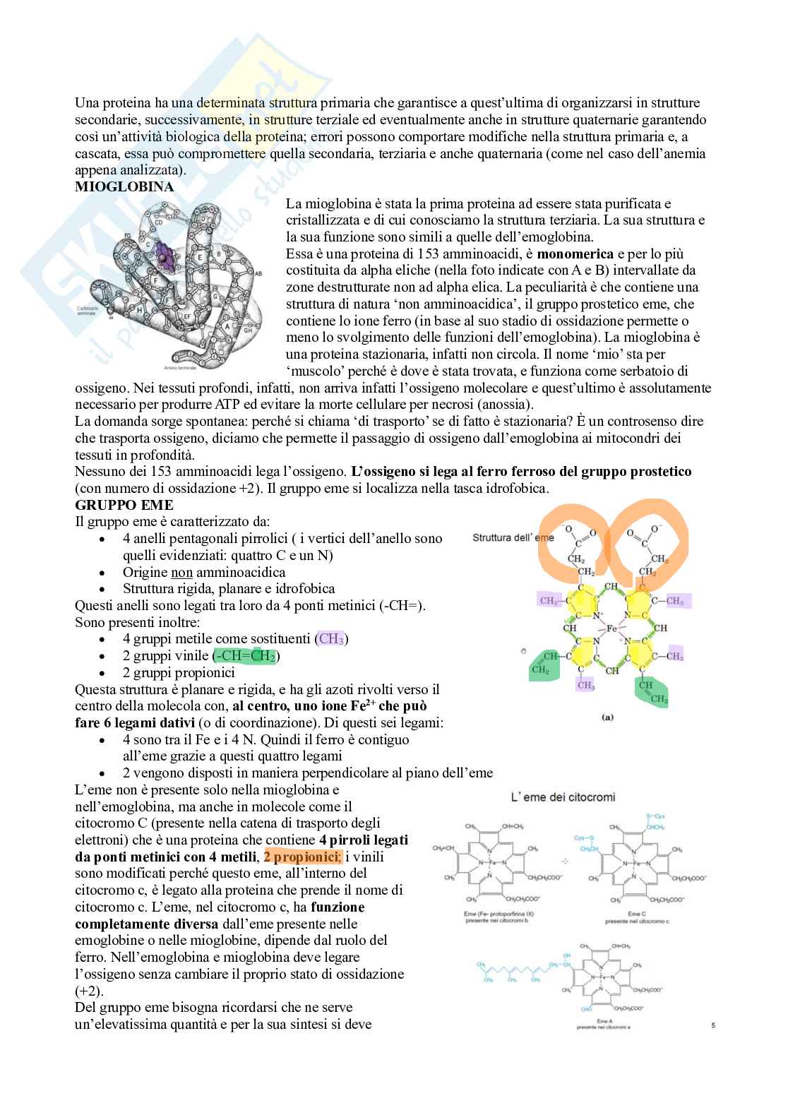 Appunti di Biochimica strutturale Pag. 56
