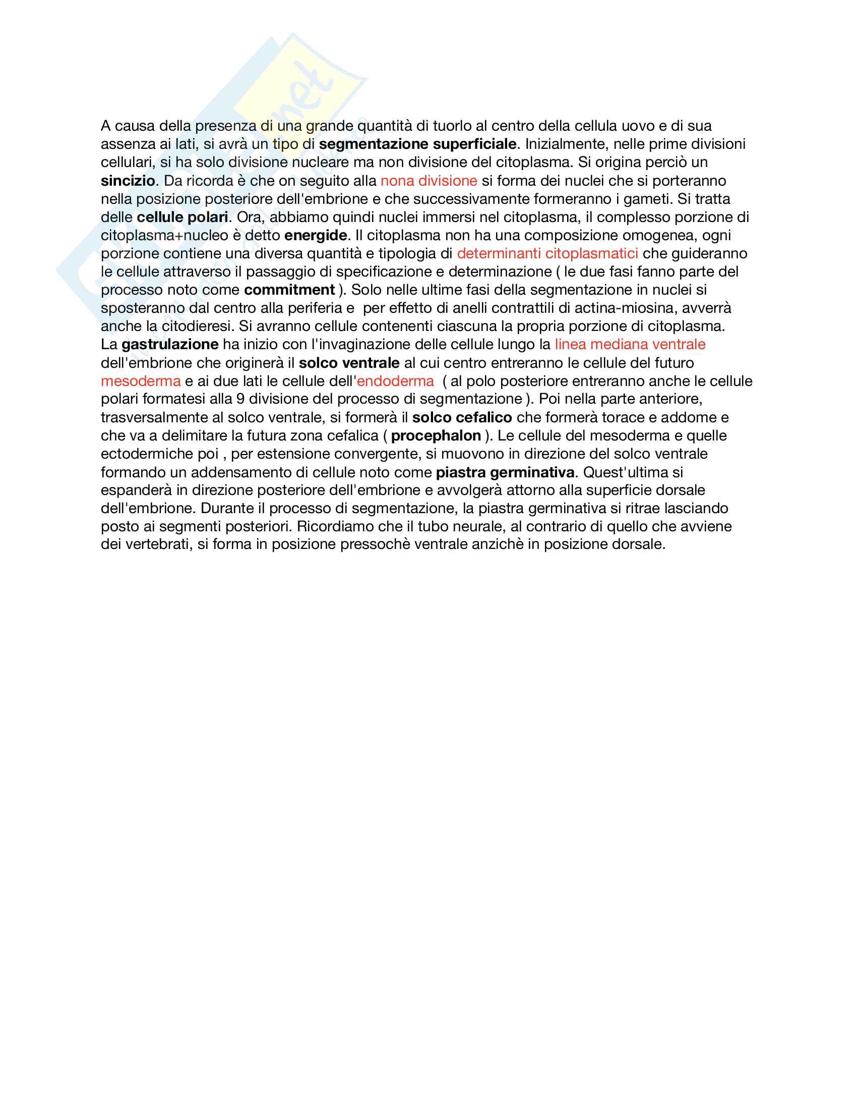 Genetica Molecolare dello sviluppo Pag. 56
