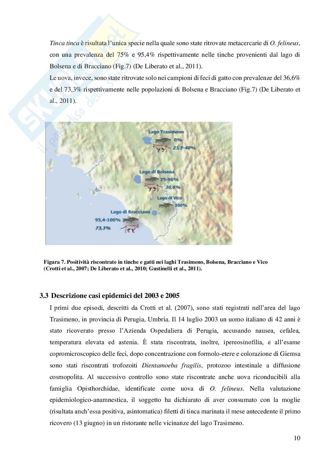 Opisthorchis felineus in Italia Pag. 11