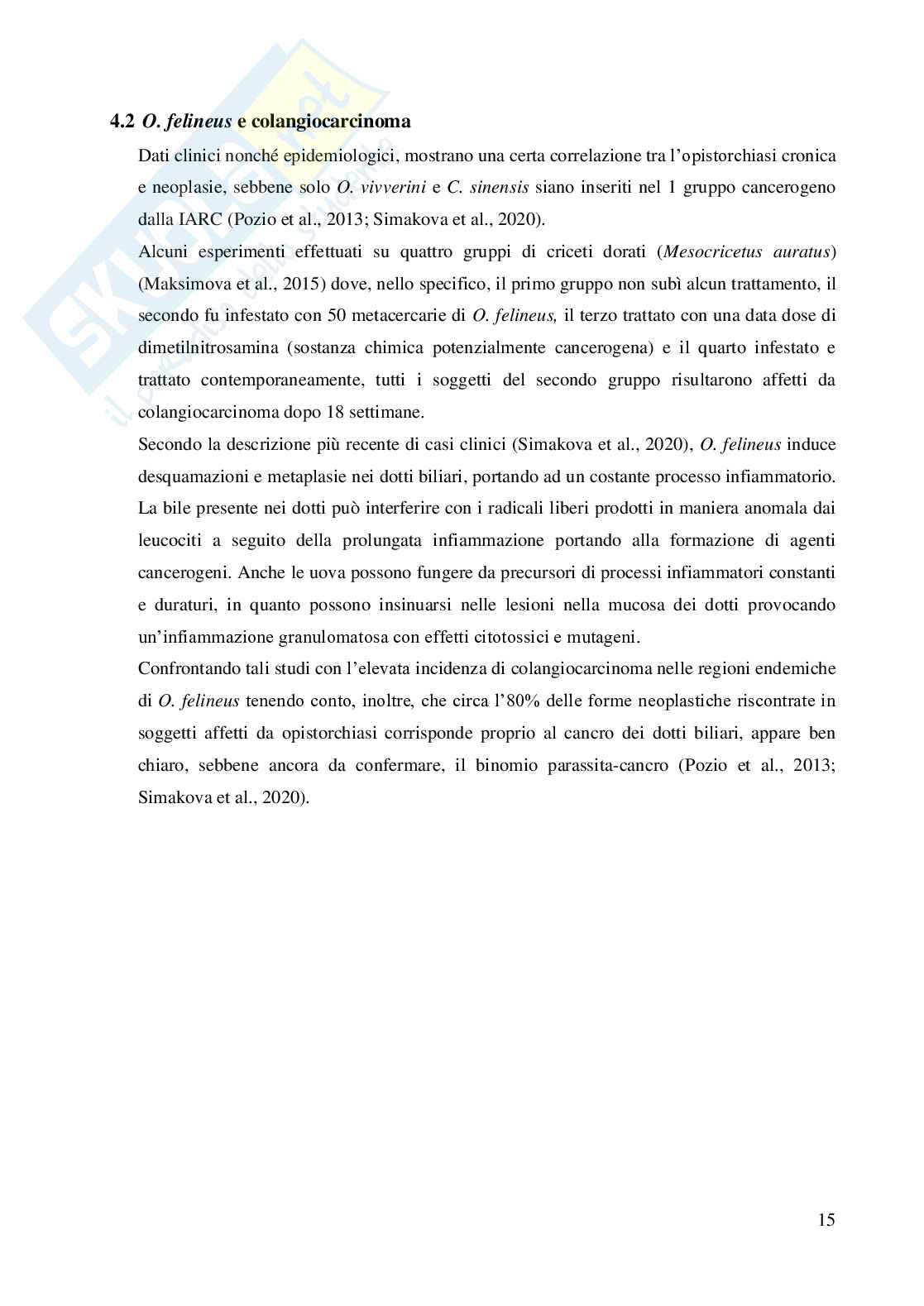 Opisthorchis felineus in Italia Pag. 16