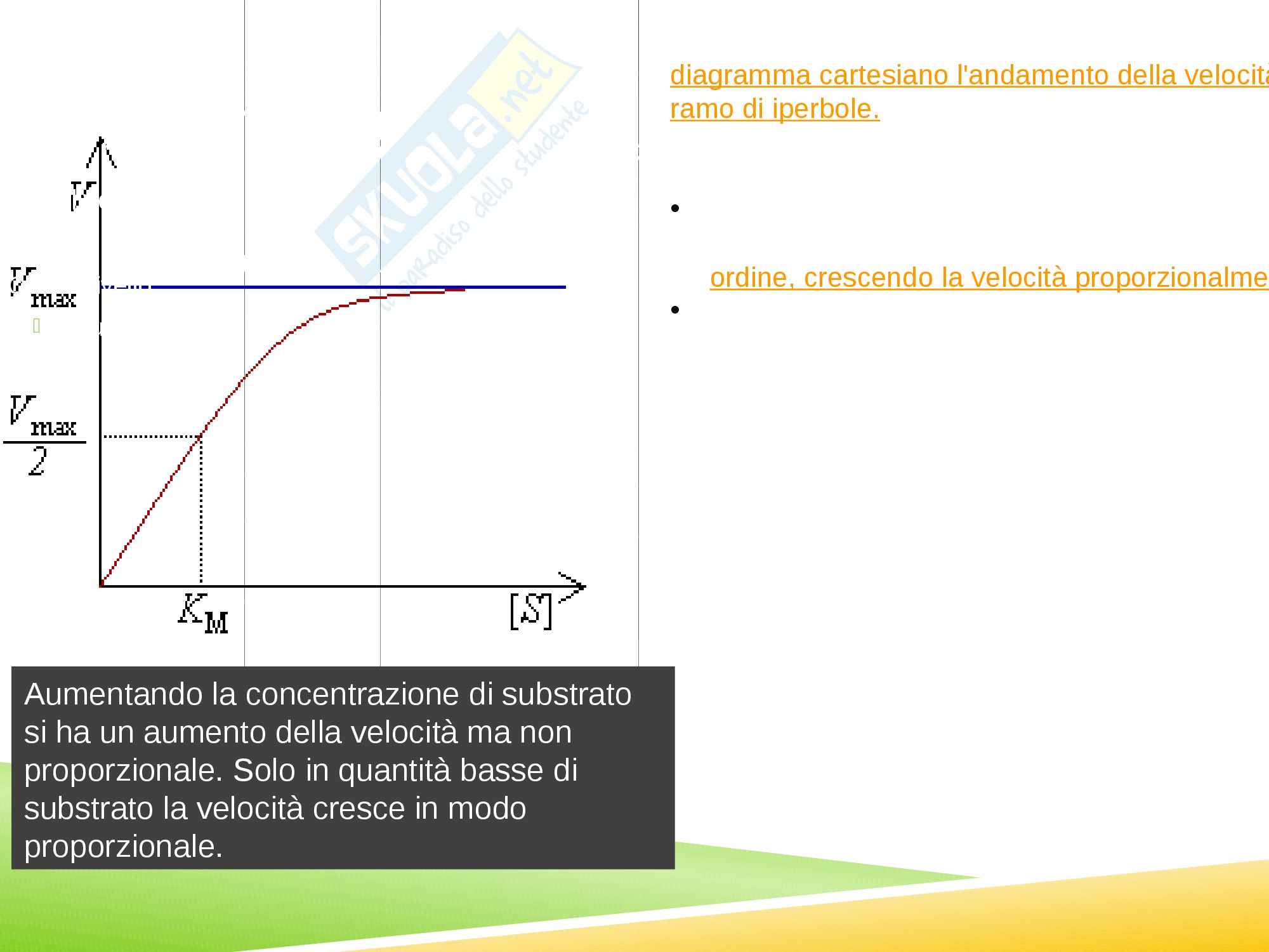 Enzimi e cinetica enzimatica, Biochimica Pag. 16