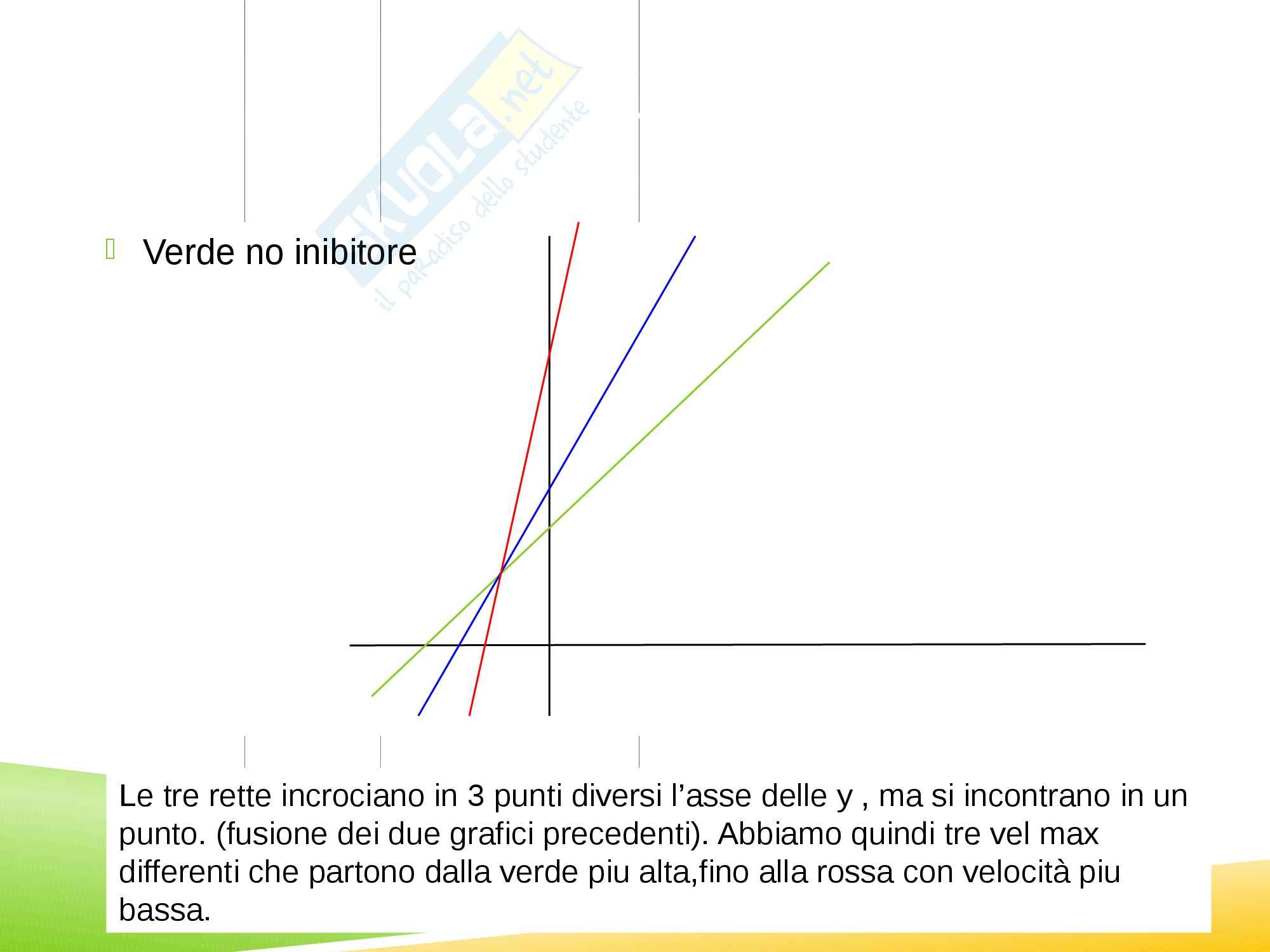Enzimi e cinetica enzimatica, Biochimica Pag. 31