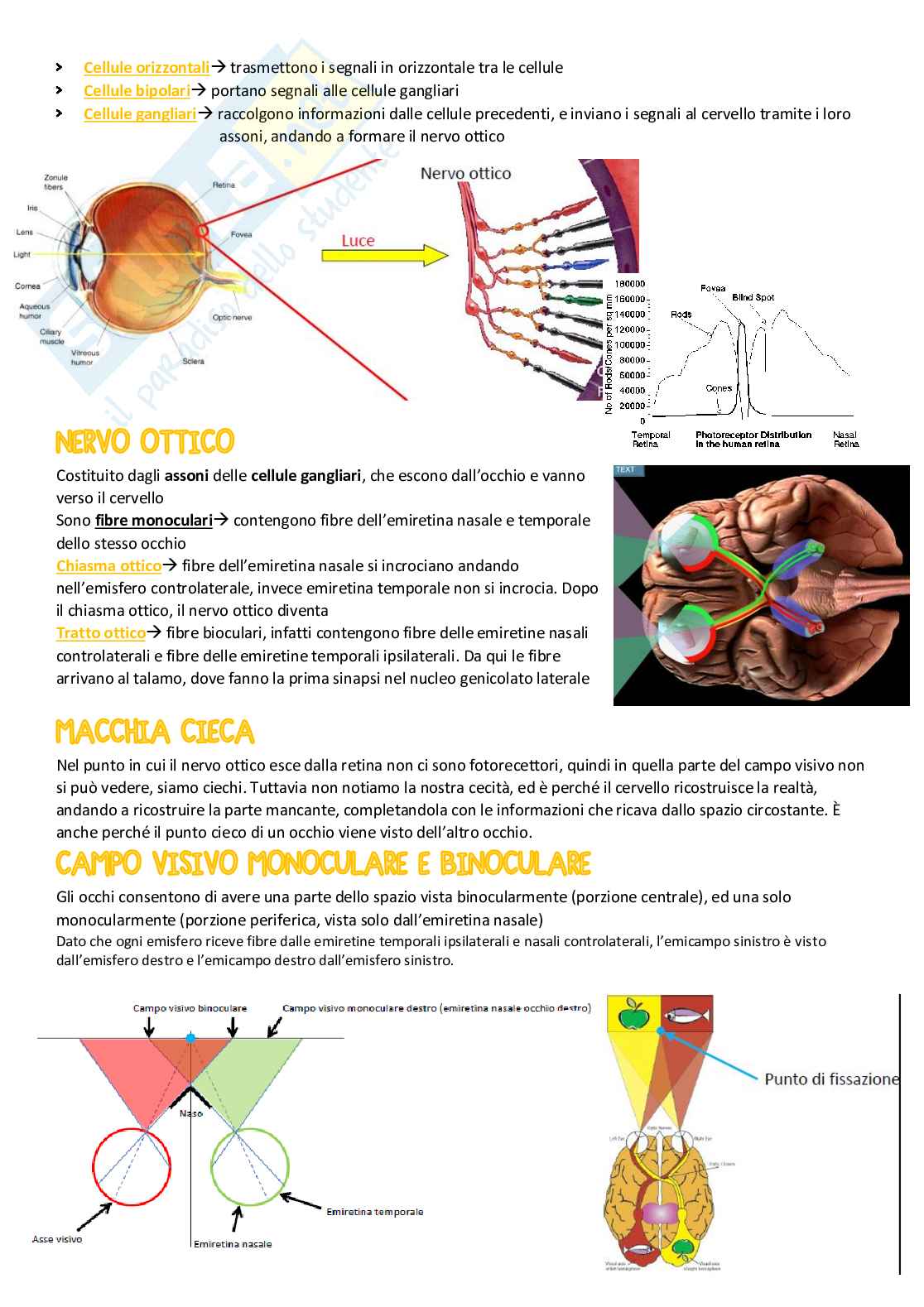 Riassunto esame psicologia generale, prof. Turatto, libro consigliato Psicologia generale, Turatto Pag. 21