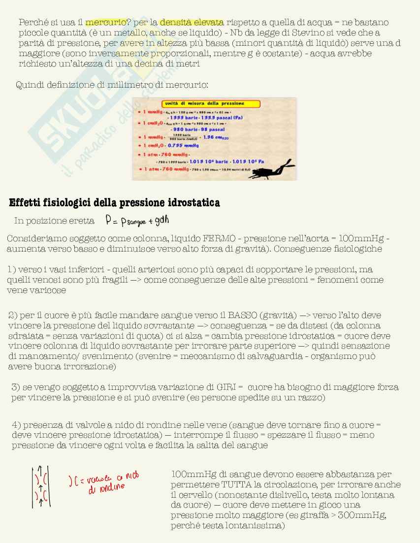 Schemi di Fisica medica da 30L Pag. 11