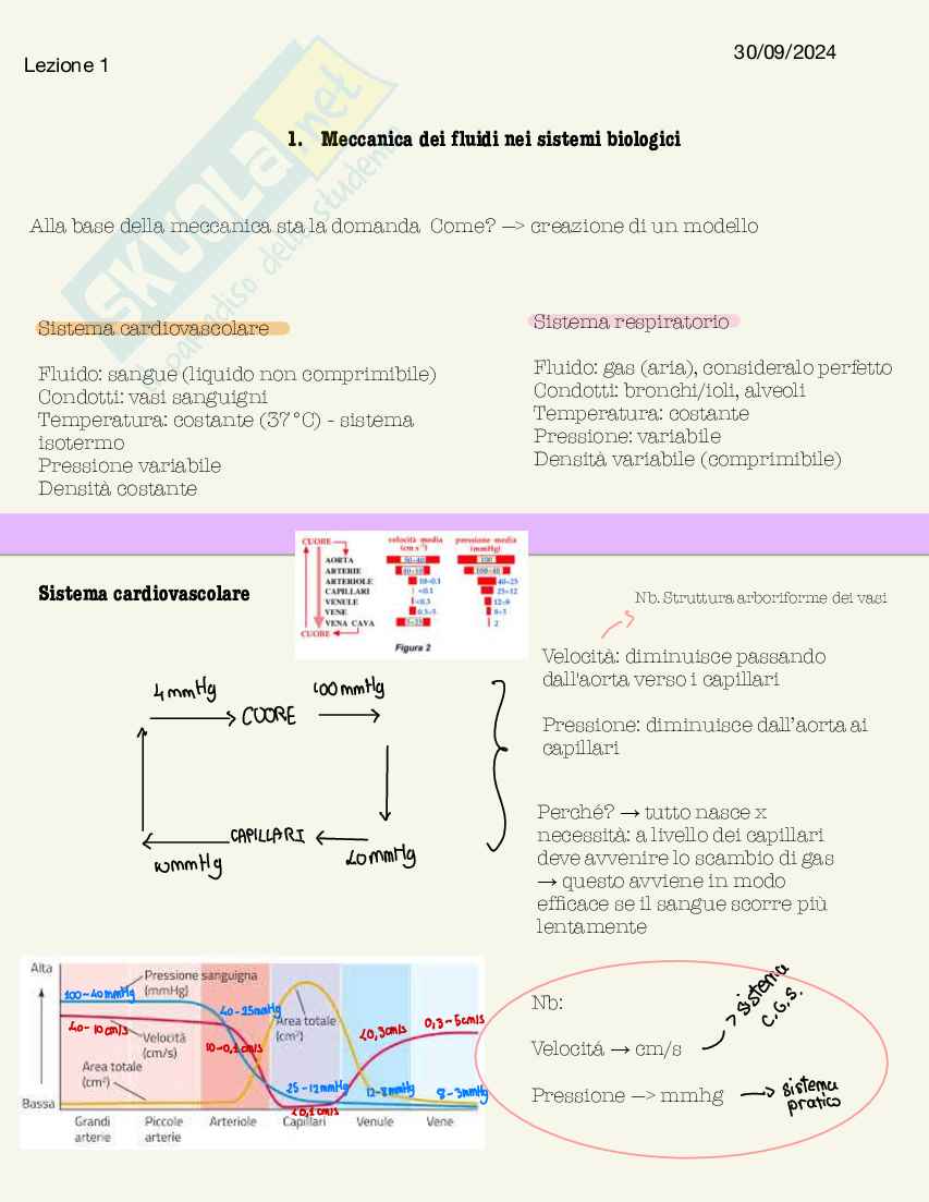 Schemi di Fisica medica da 30L Pag. 2