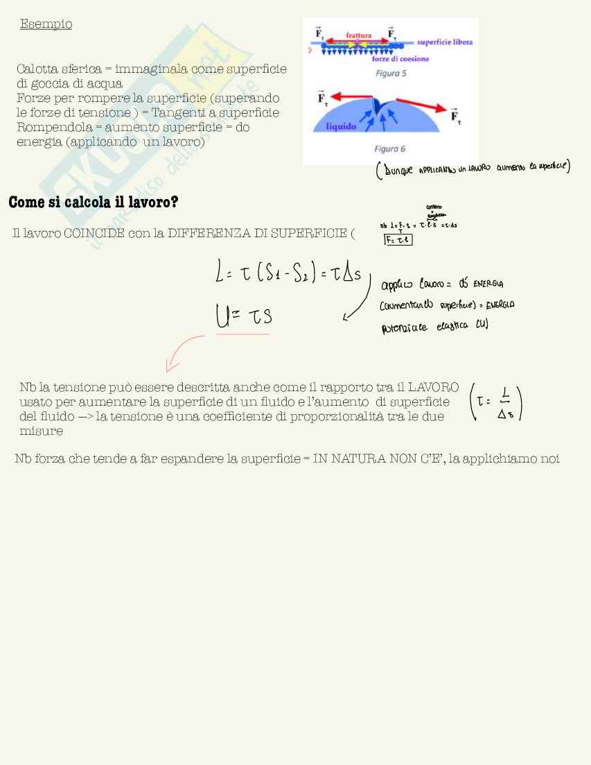 Schemi di Fisica medica da 30L Pag. 31