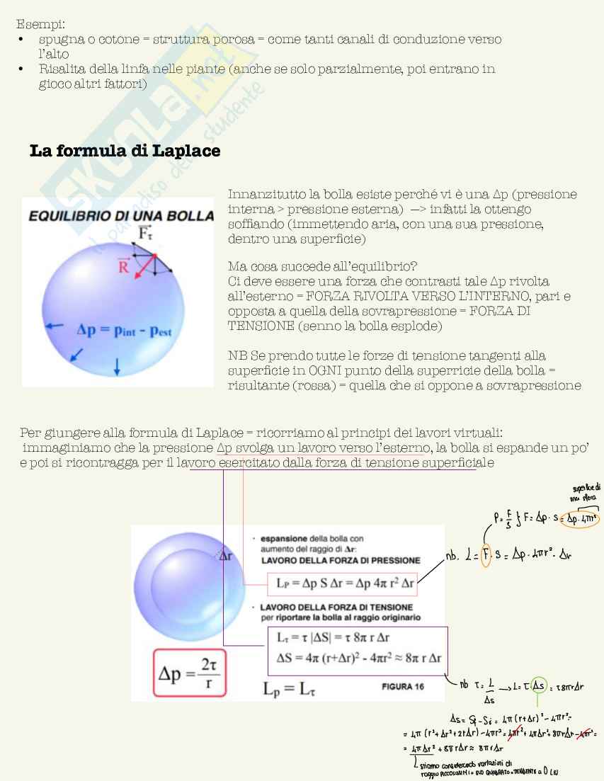 Schemi di Fisica medica da 30L Pag. 36