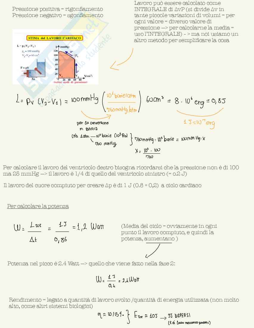 Schemi di Fisica medica da 30L Pag. 51