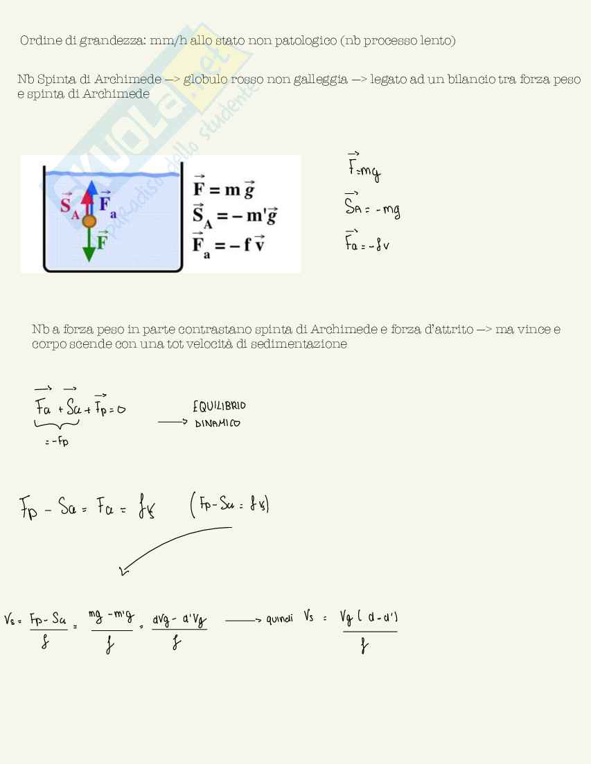 Schemi di Fisica medica da 30L Pag. 56