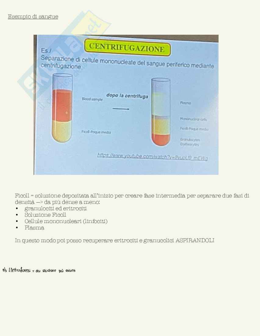 Schemi di Fisica medica da 30L Pag. 61