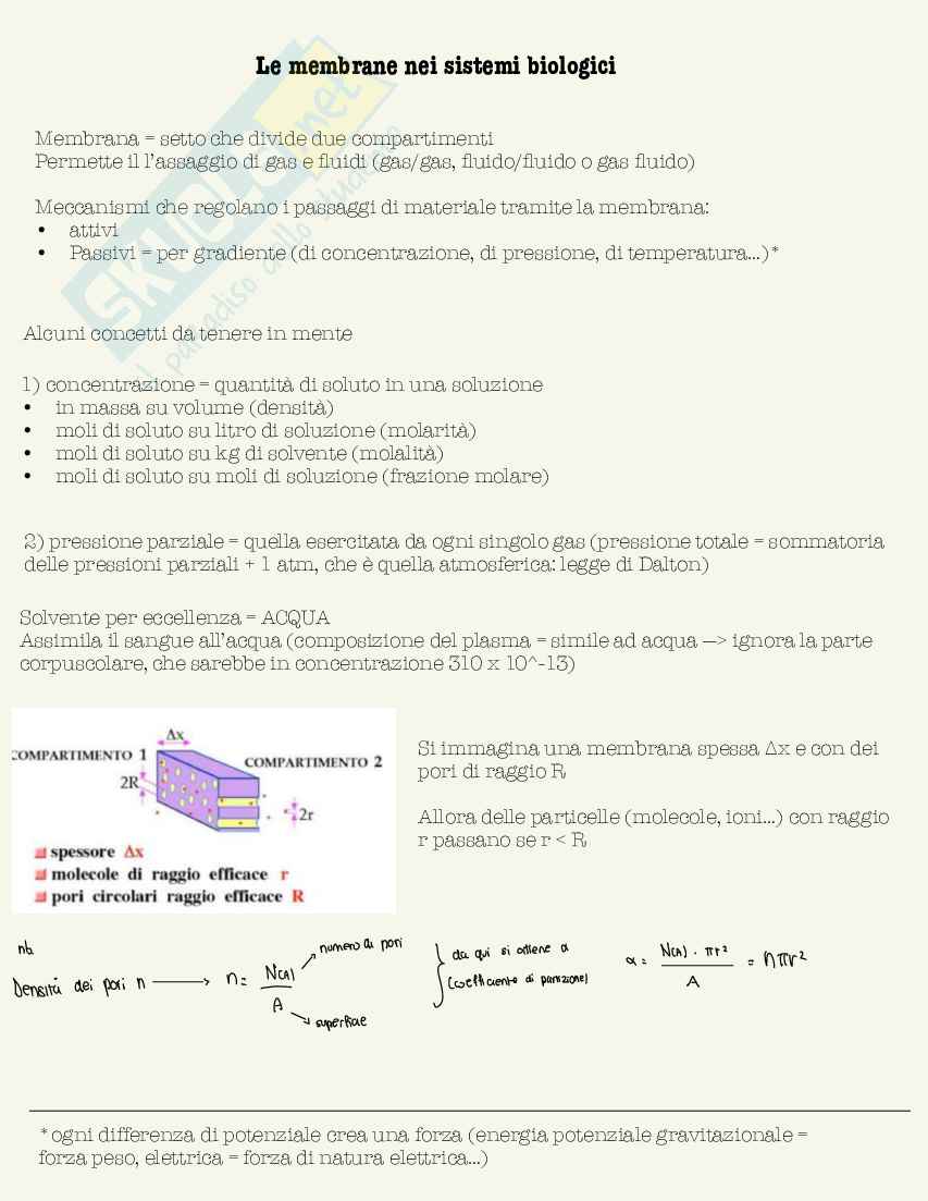 Schemi di Fisica medica da 30L Pag. 91