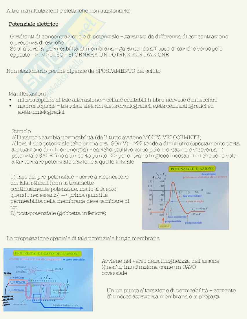 Schemi di Fisica medica da 30L Pag. 96