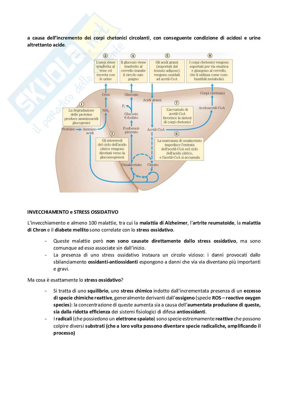 Concetti di nutrizione Pag. 71