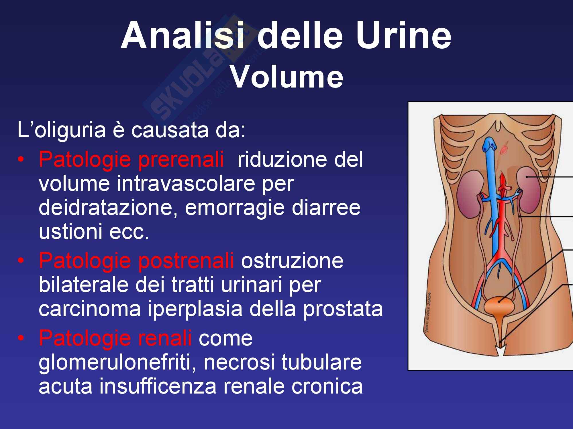 Medicina di laboratorio - Analisi delle urine Pag. 2