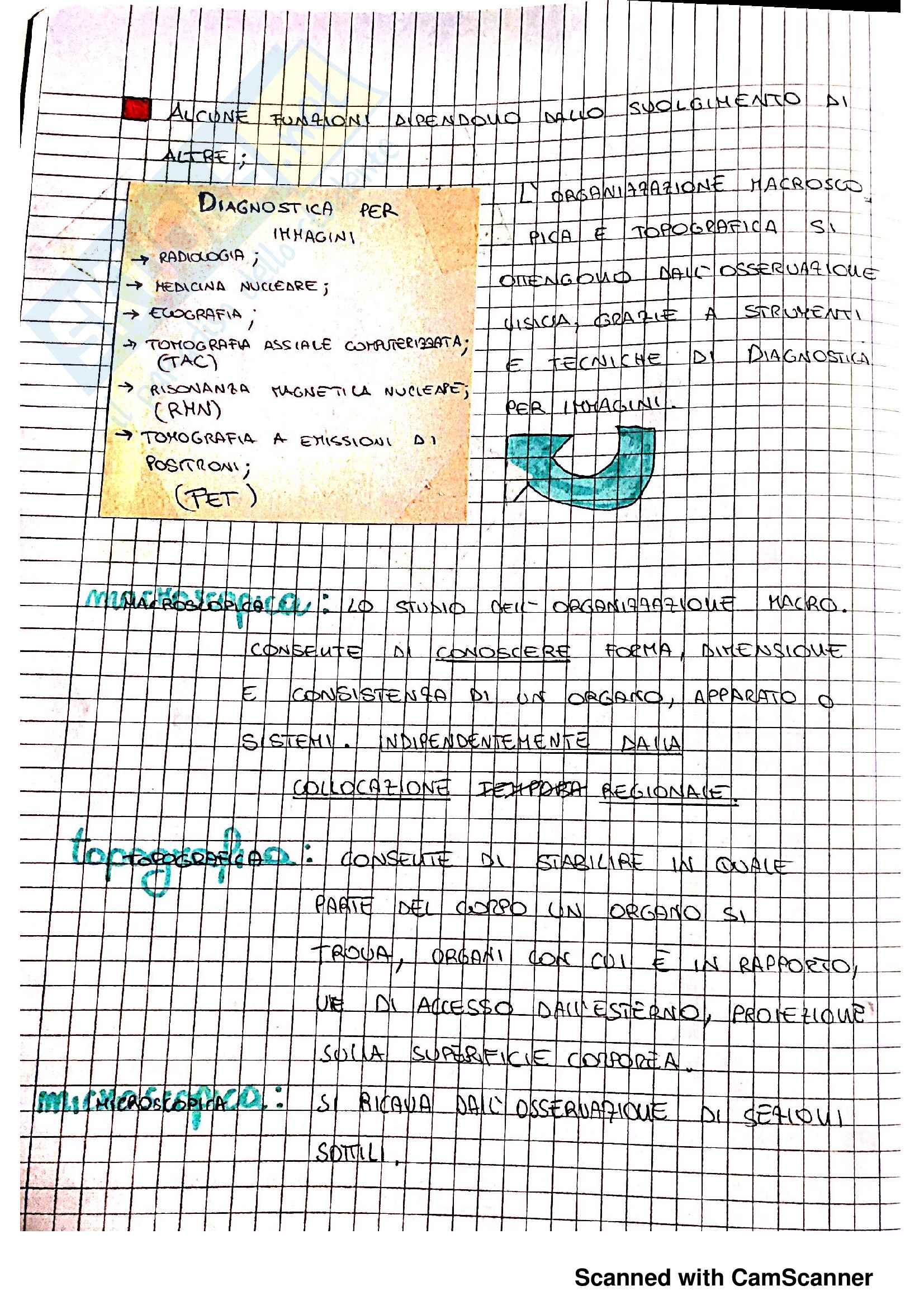 introduzione anatomia Pag. 2