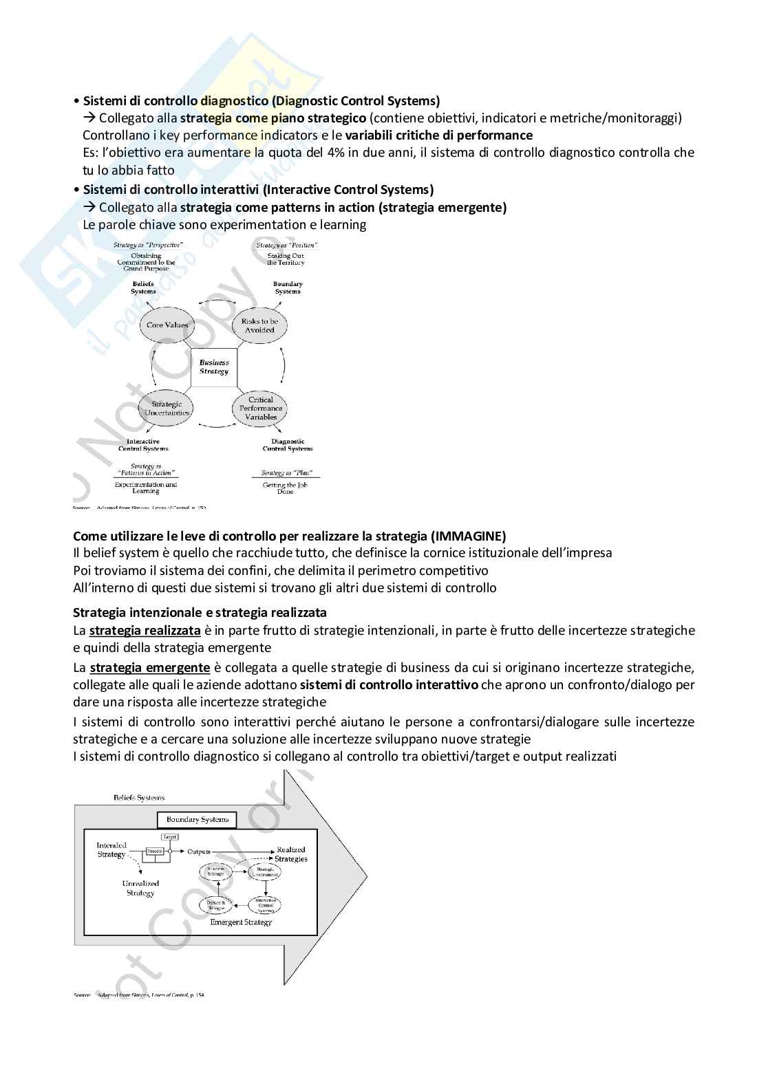 Appunti di Controllo direzionale e valutazione delle performance - Modulo 1 Pag. 11