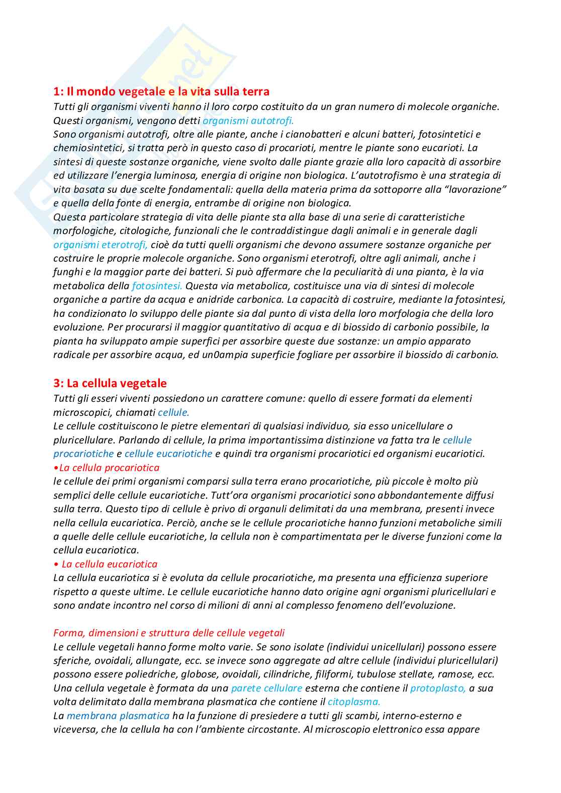Appunti Biologia vegetale Pag. 1